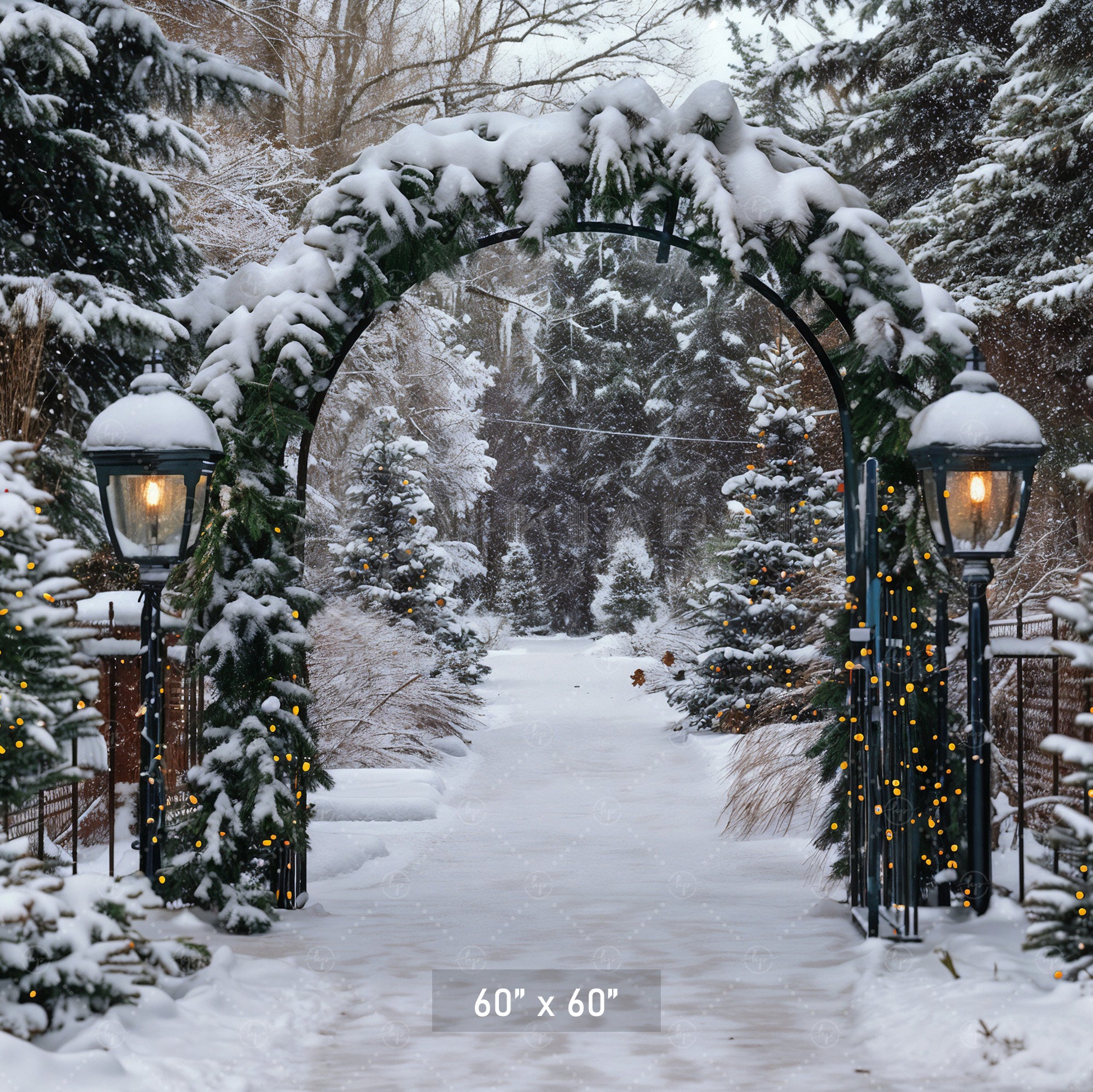 Winter Archway Path Backdrop