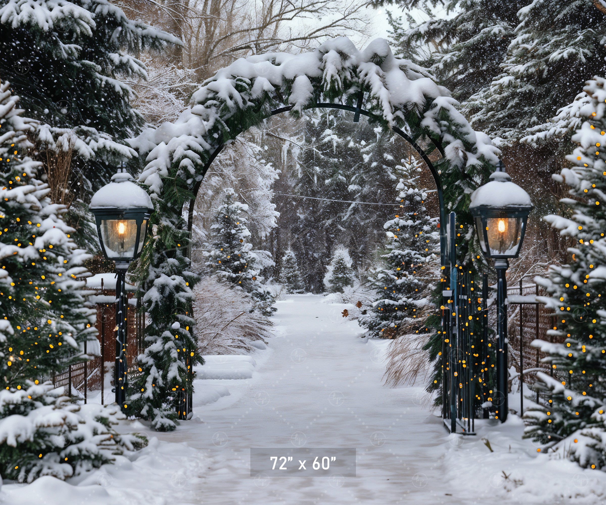 Winter Archway Path Backdrop