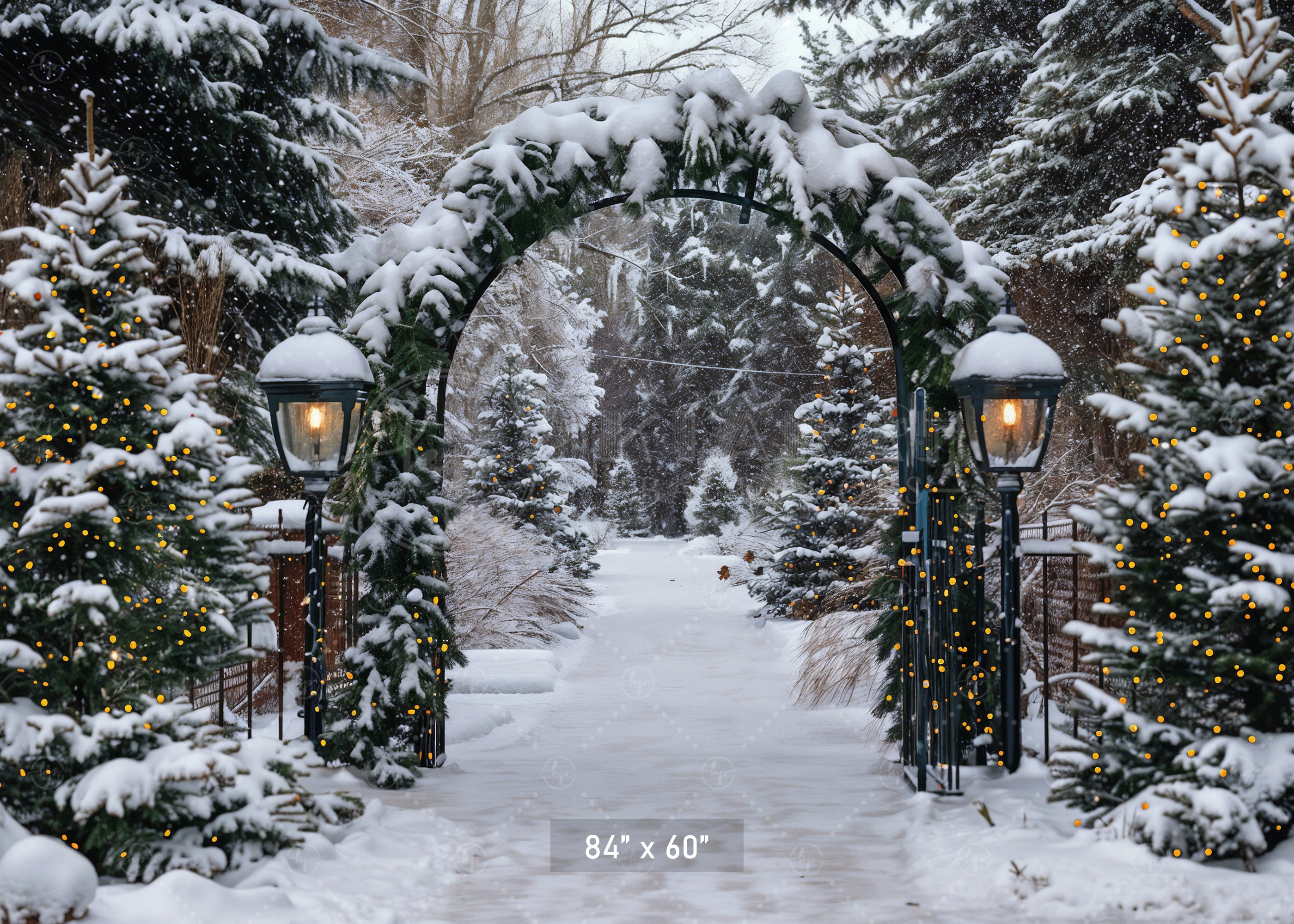 Winter Archway Path Backdrop