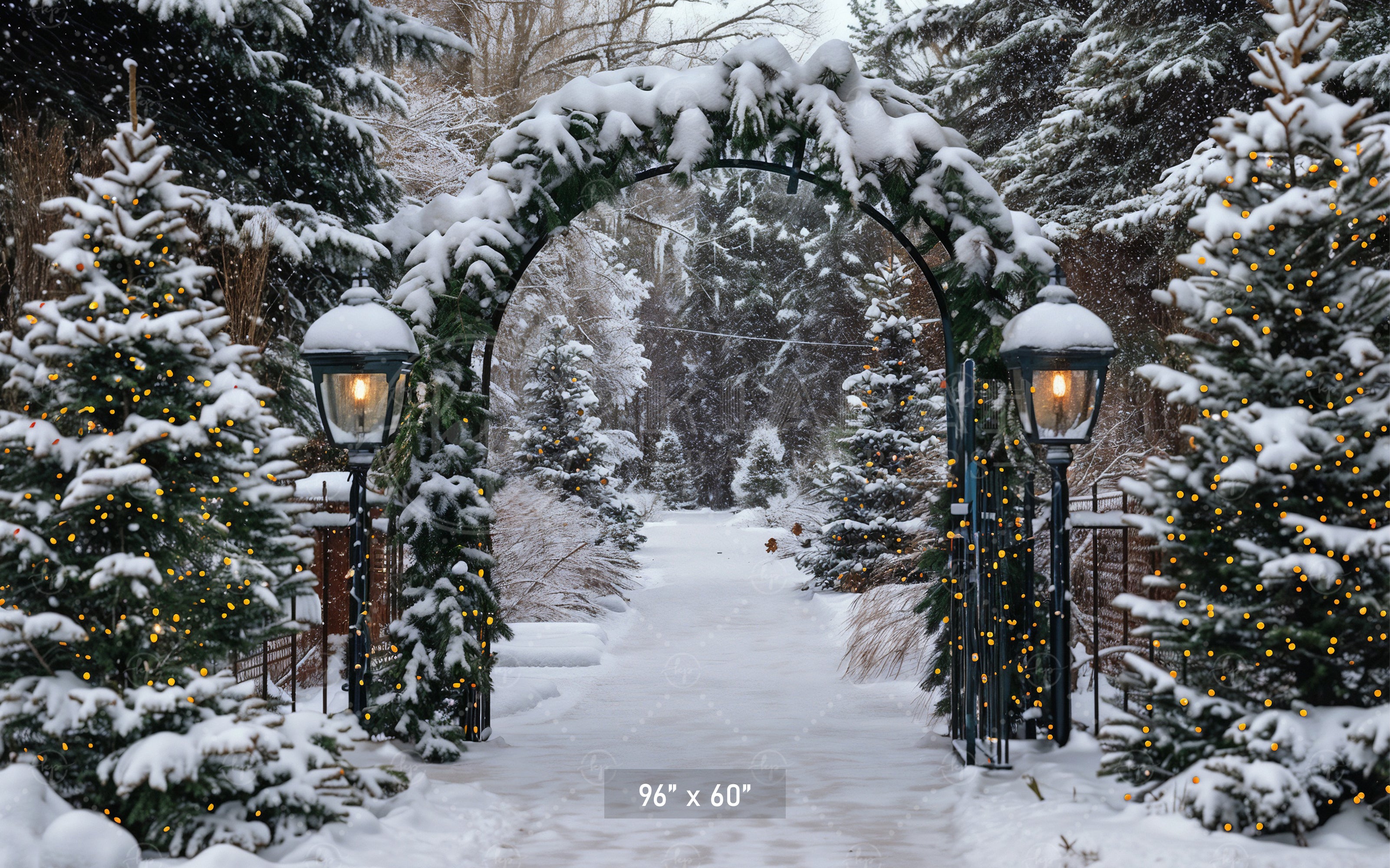 Winter Archway Path Backdrop