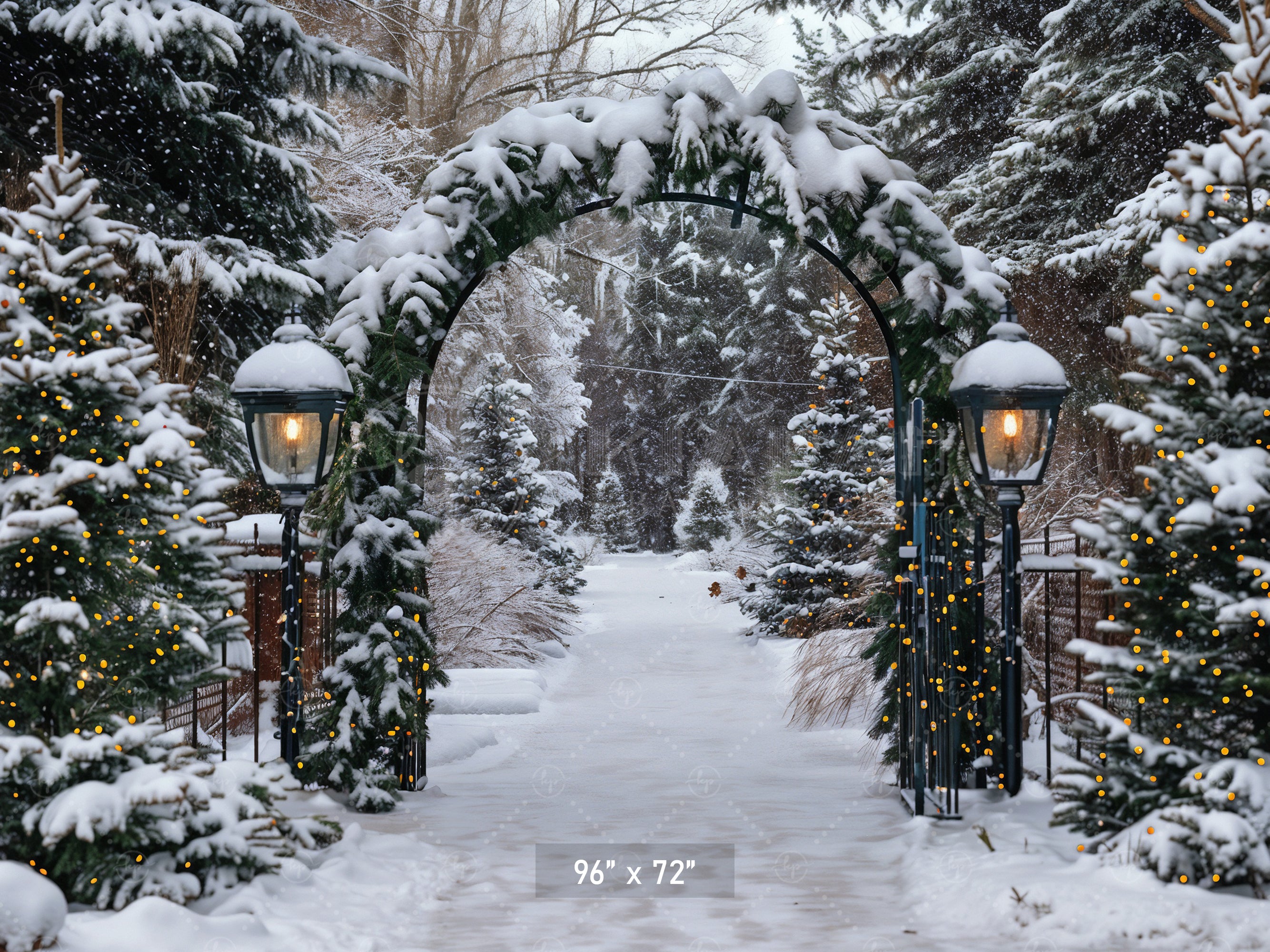 Winter Archway Path Backdrop