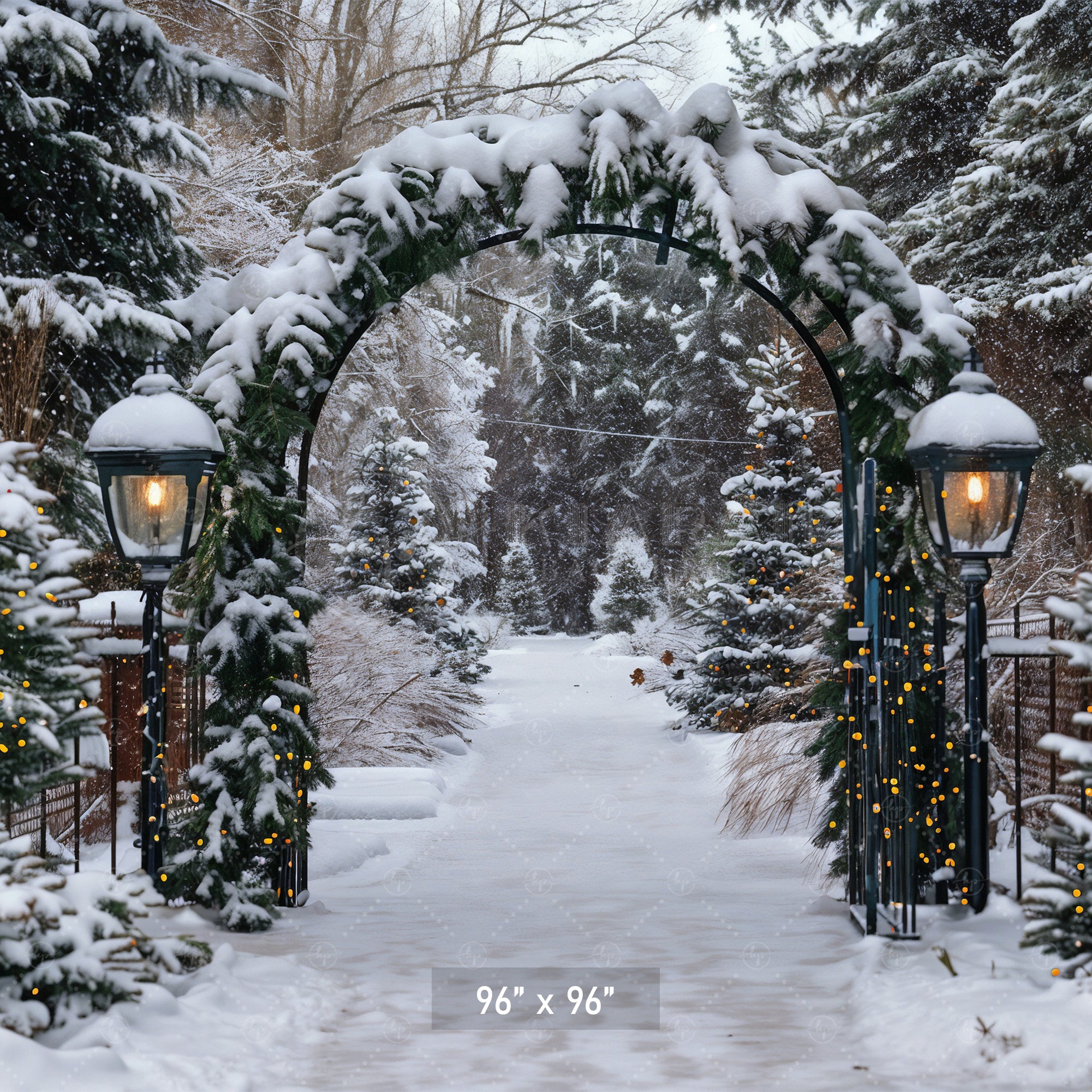 Winter Archway Path Backdrop