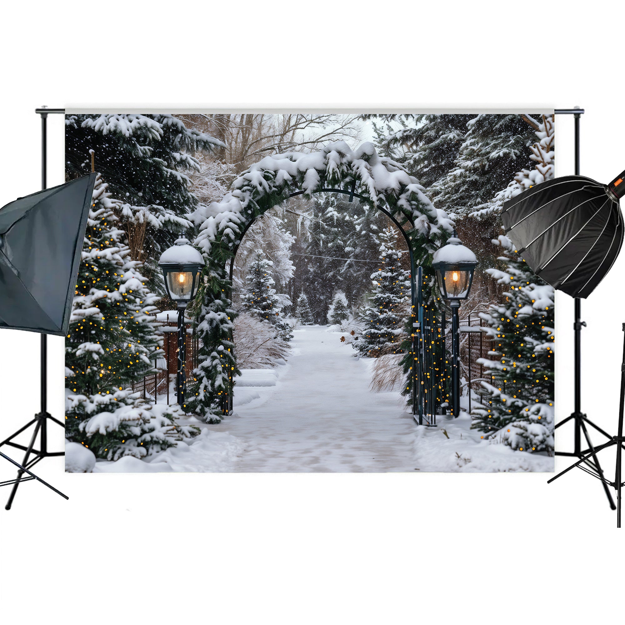 Winter Archway Path Backdrop