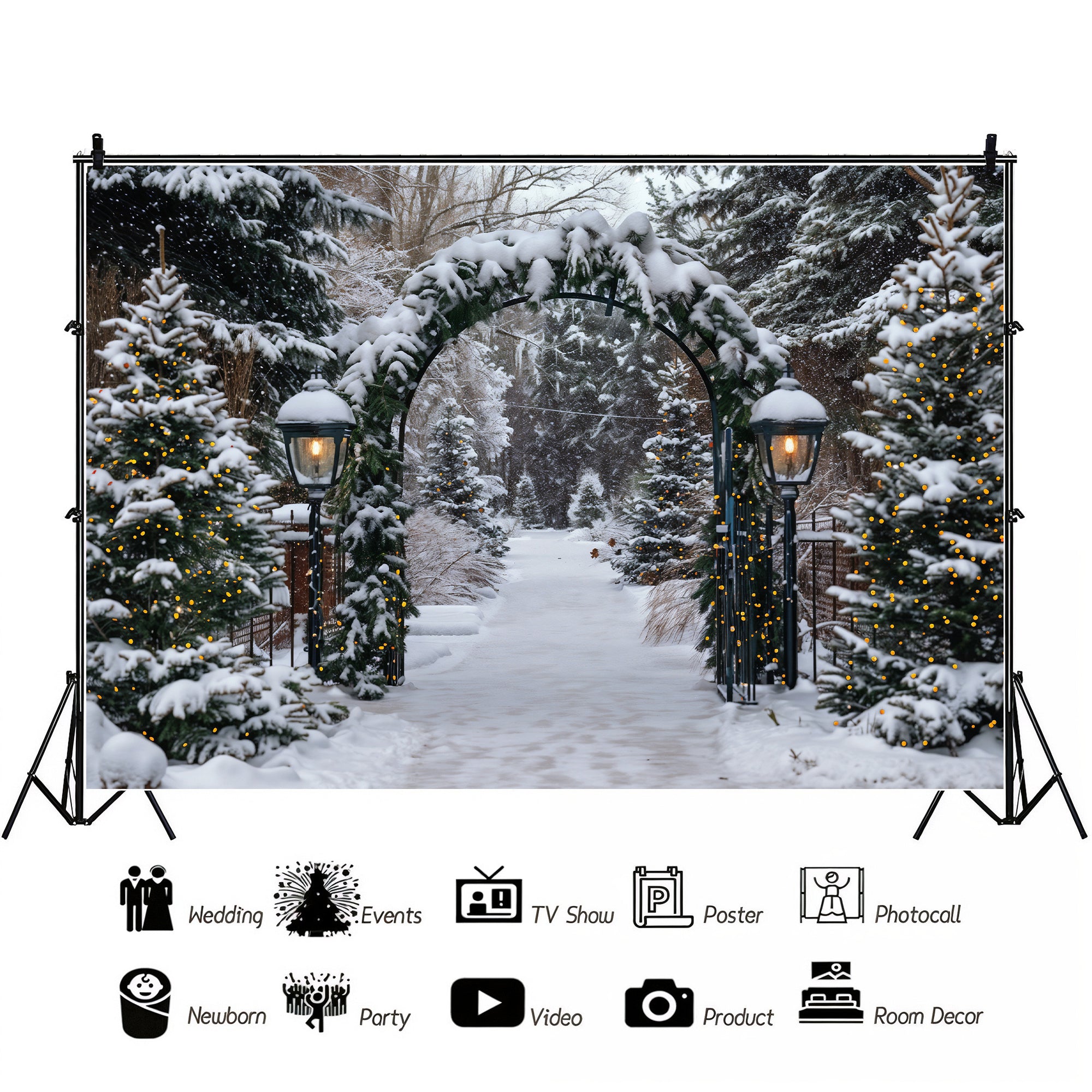 Winter Archway Path Backdrop