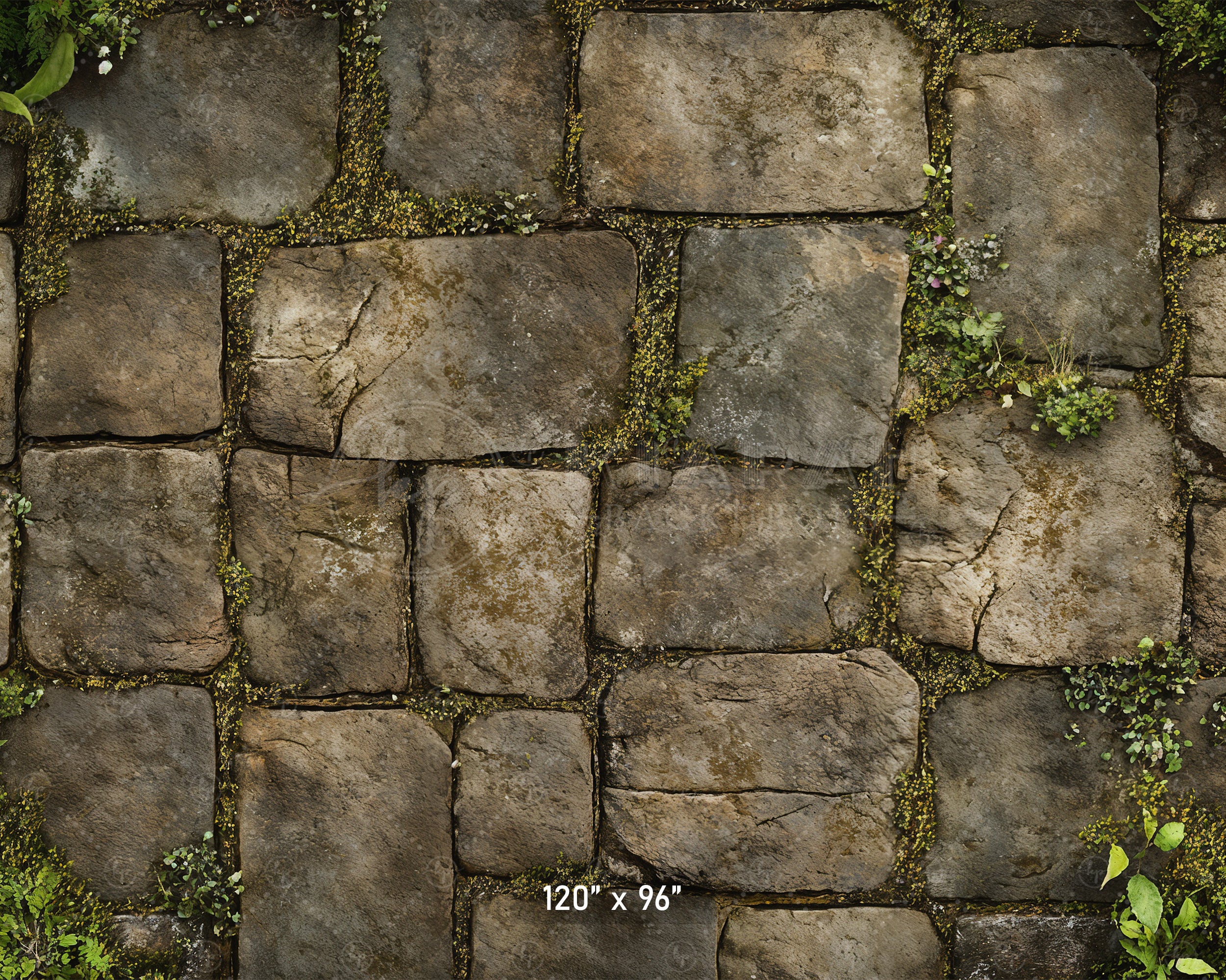 Mossy Stone Pathway Backdrop