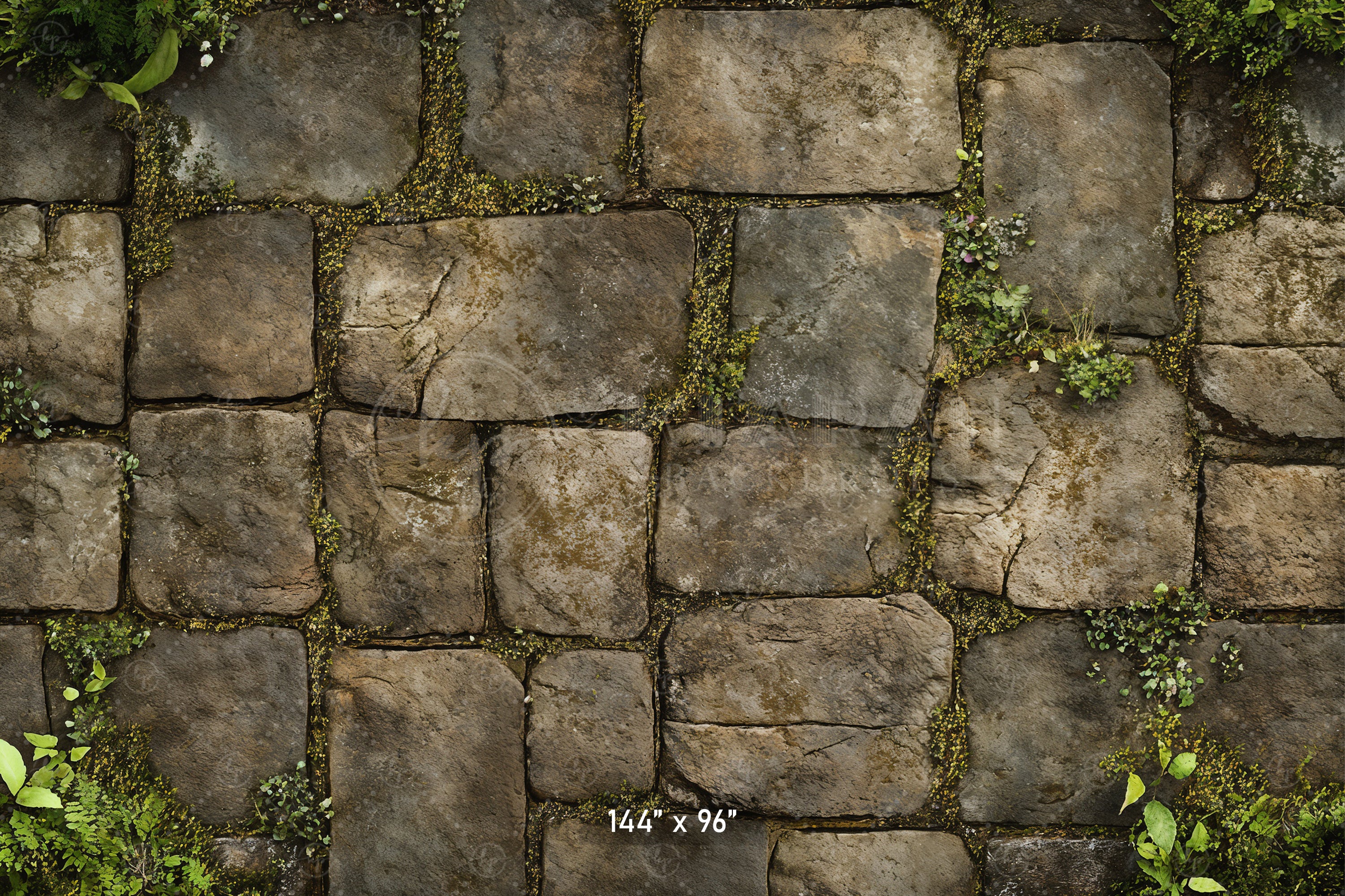 Mossy Stone Pathway Backdrop