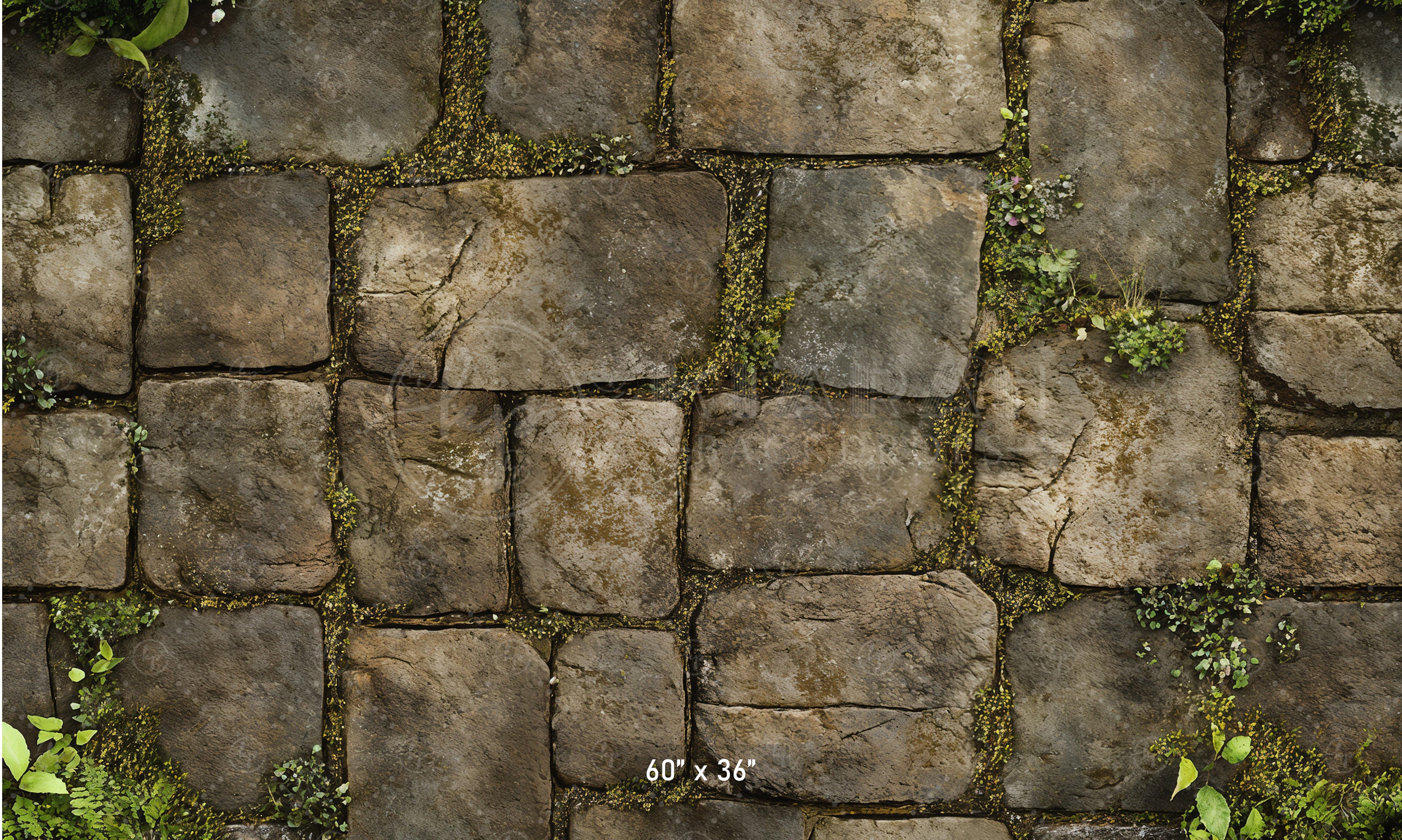 Mossy Stone Pathway Backdrop