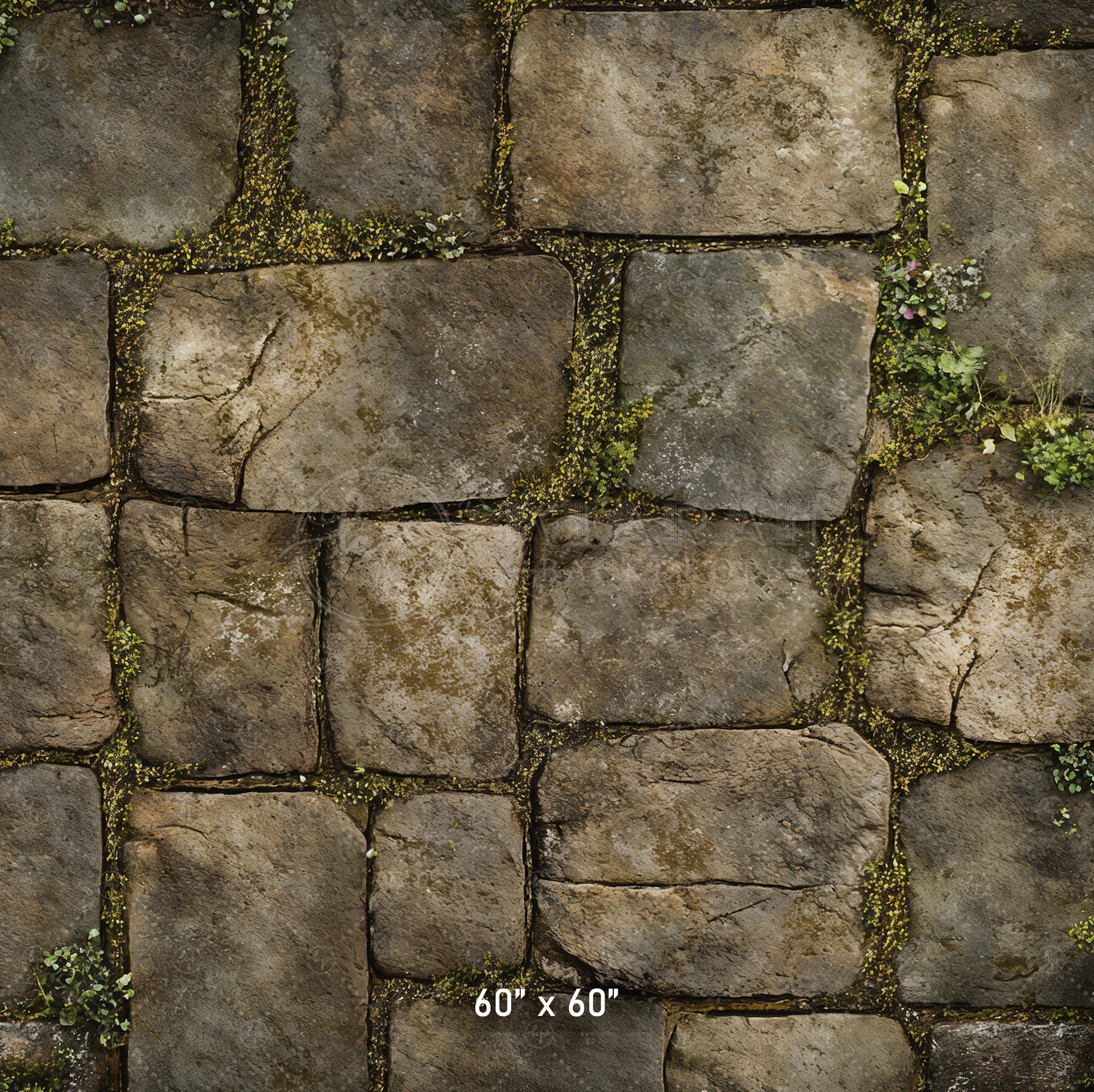 Mossy Stone Pathway Backdrop