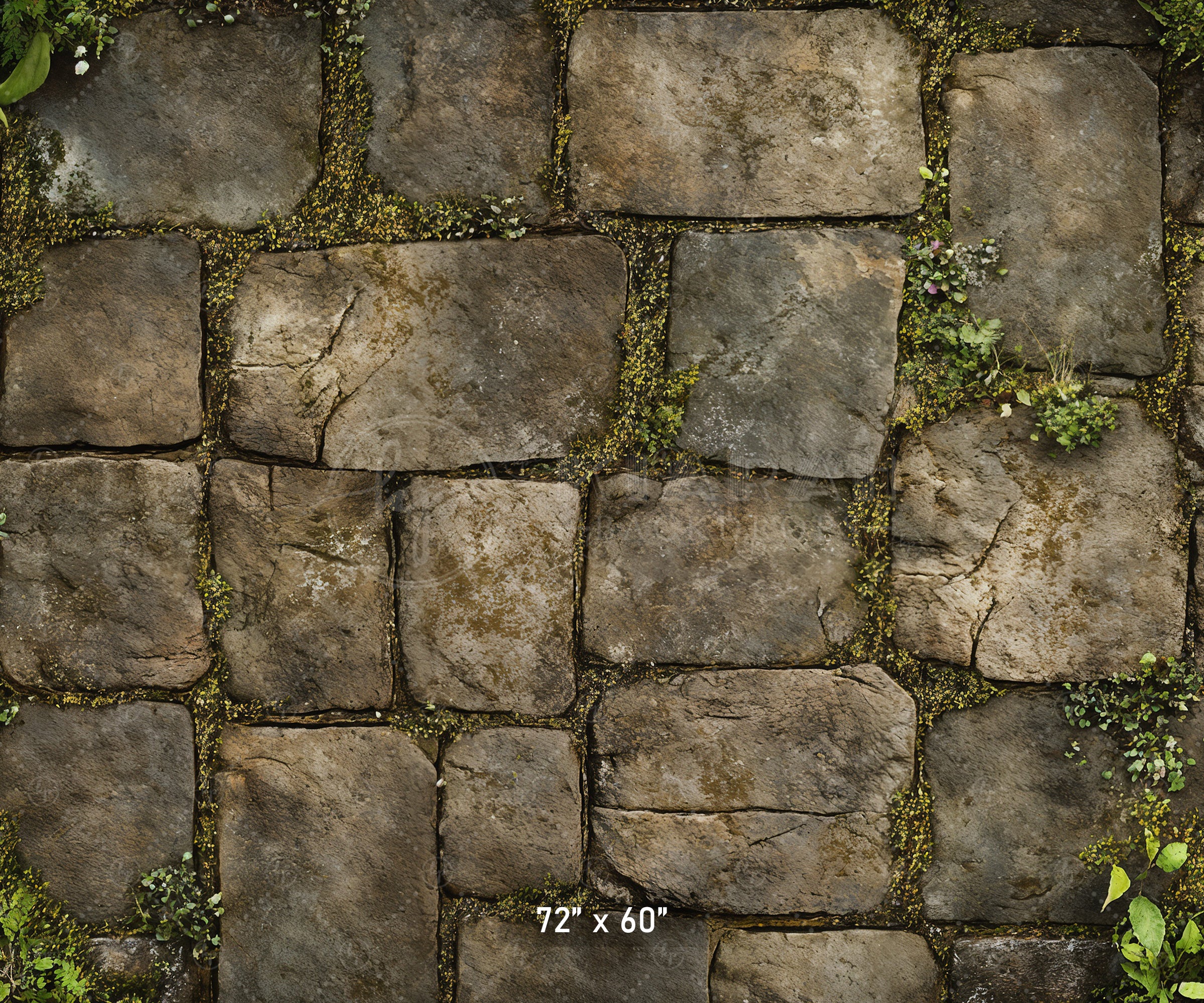 Mossy Stone Pathway Backdrop