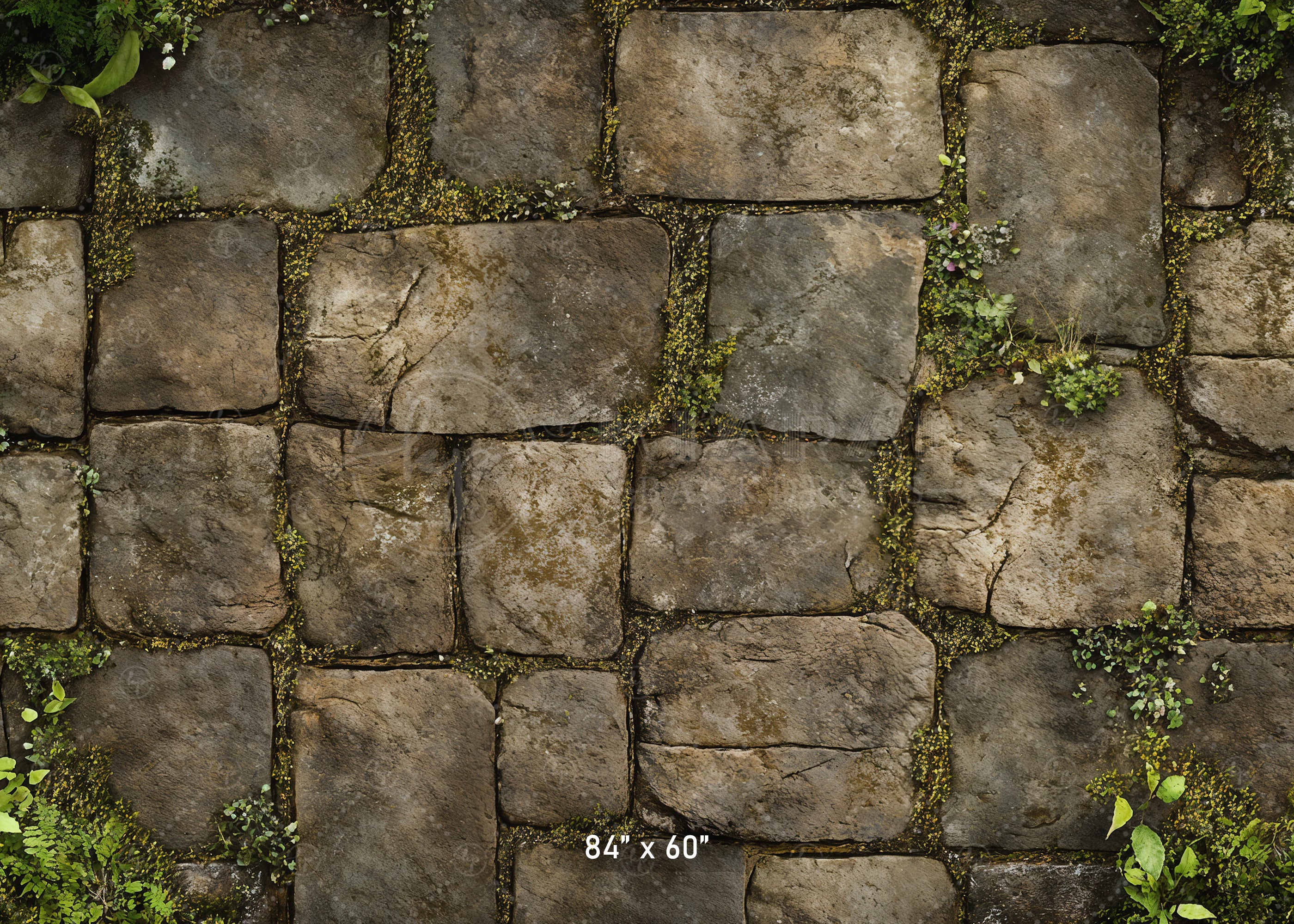 Mossy Stone Pathway Backdrop