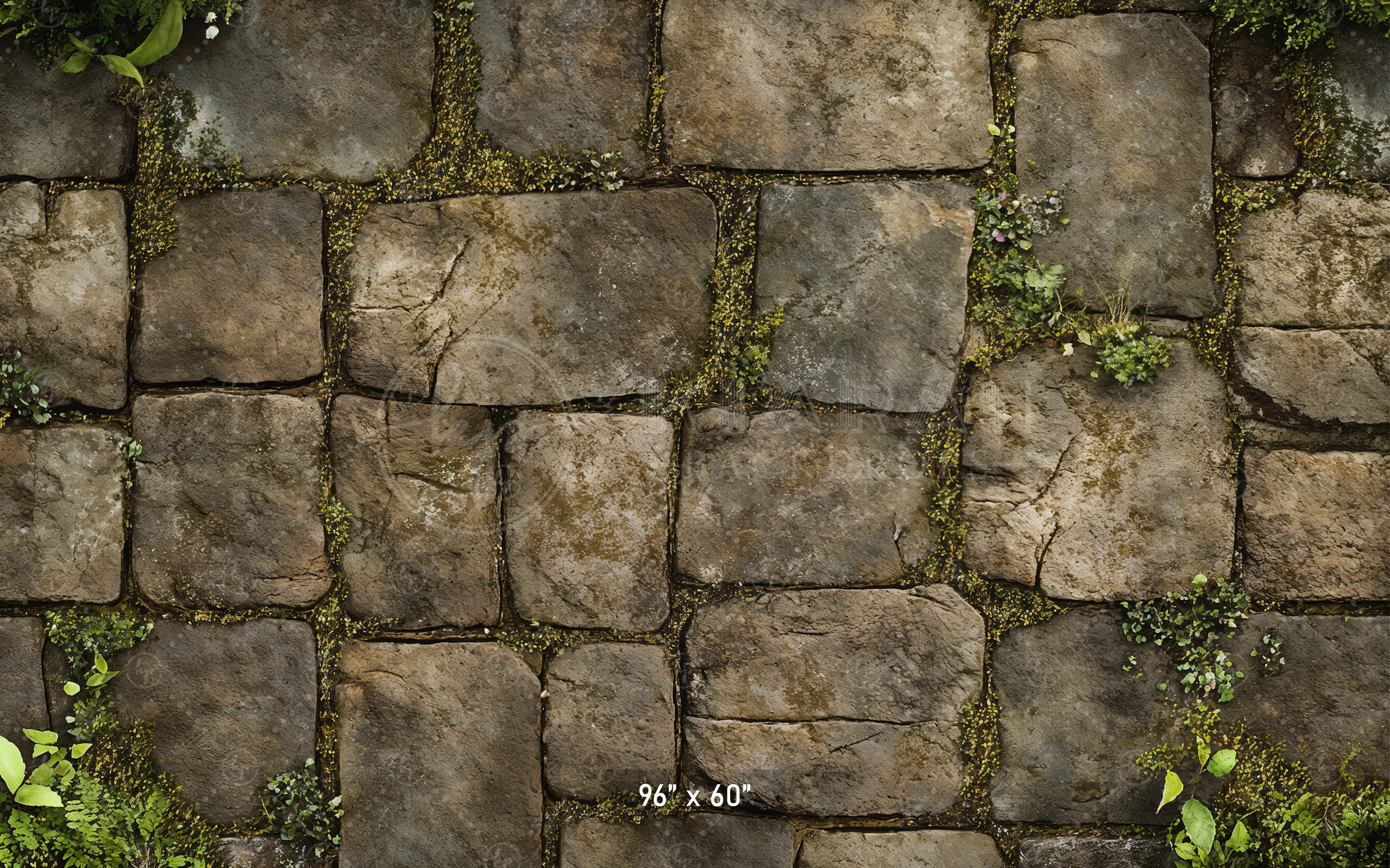 Mossy Stone Pathway Backdrop
