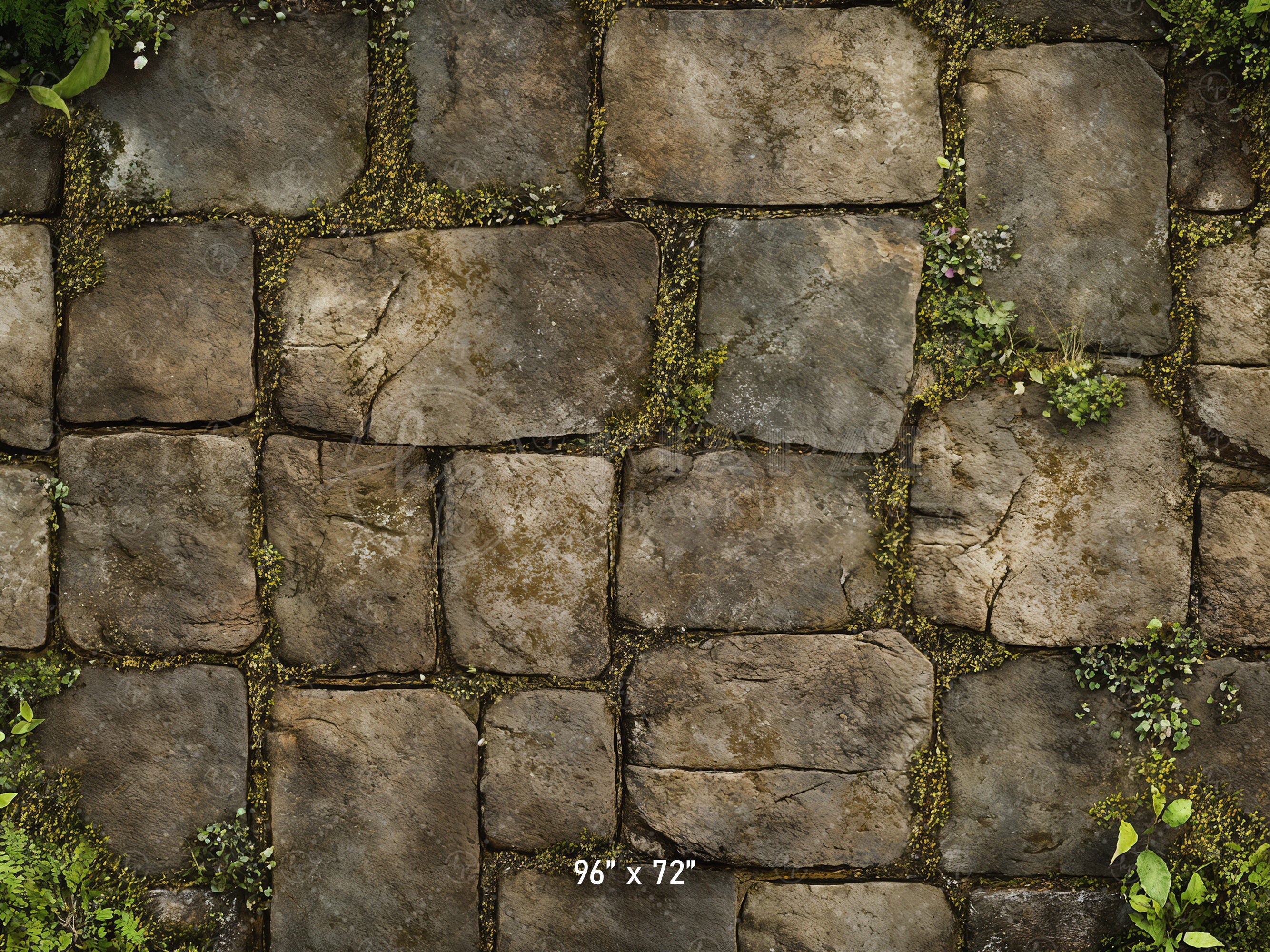 Mossy Stone Pathway Backdrop