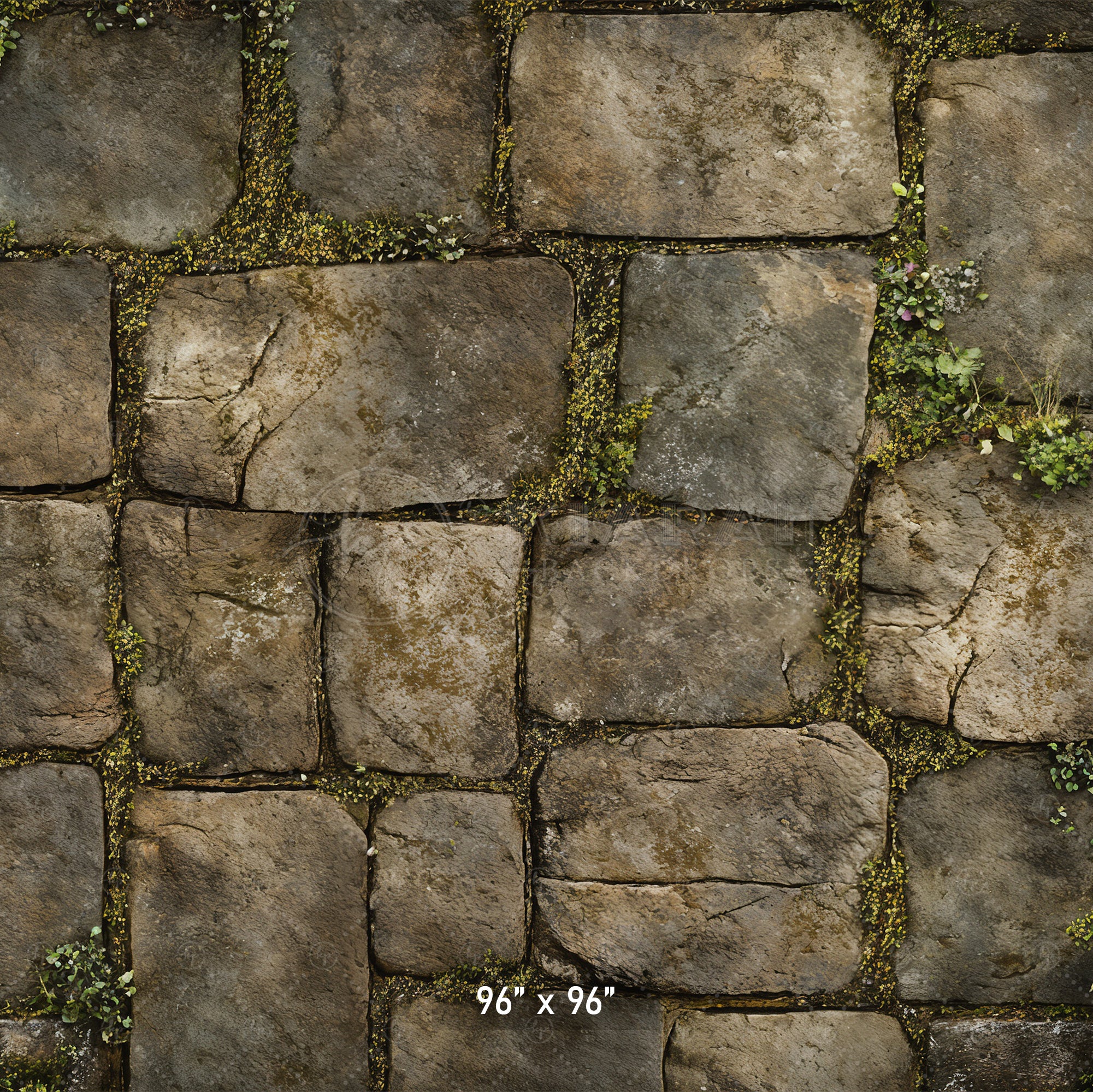 Mossy Stone Pathway Backdrop