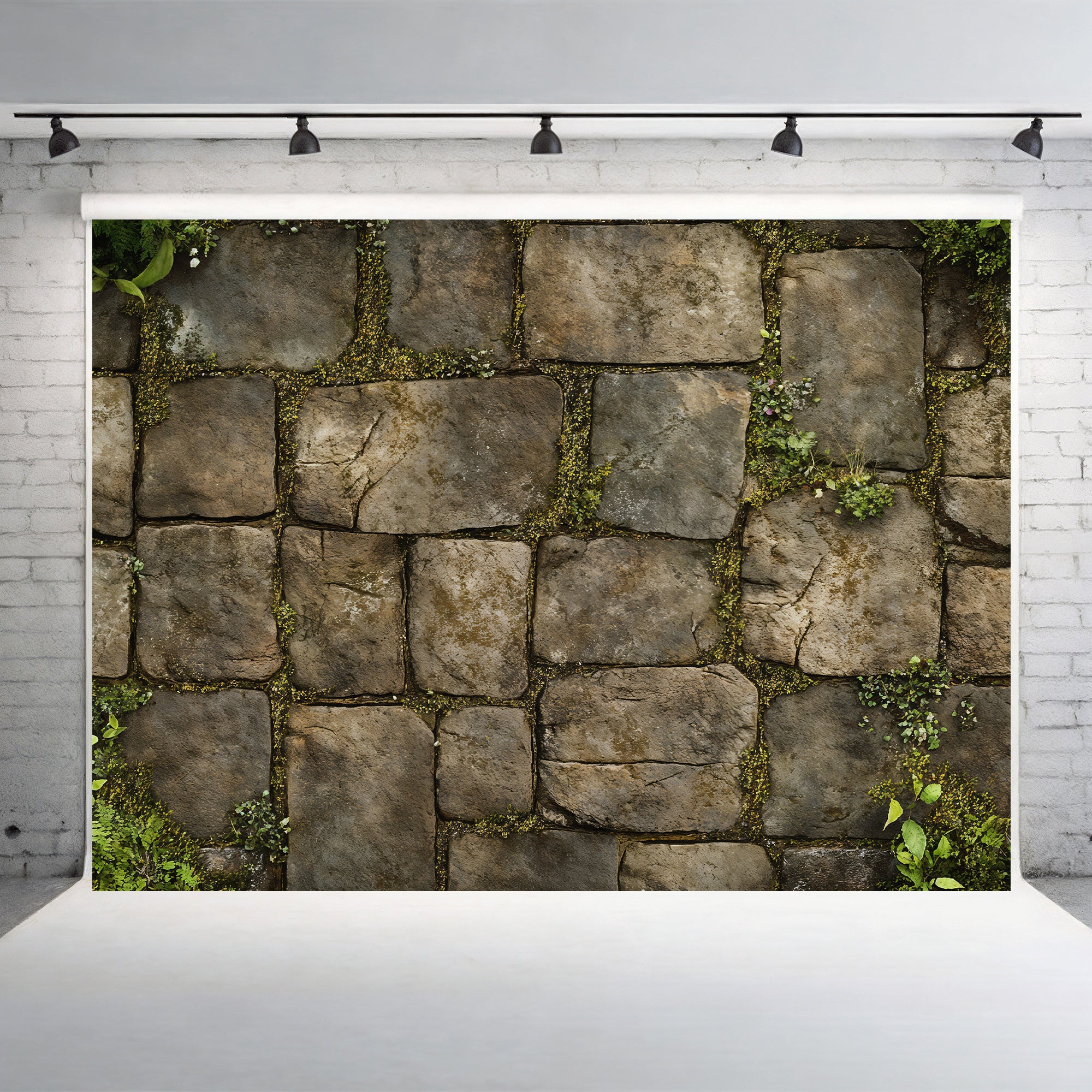 Mossy Stone Pathway Backdrop