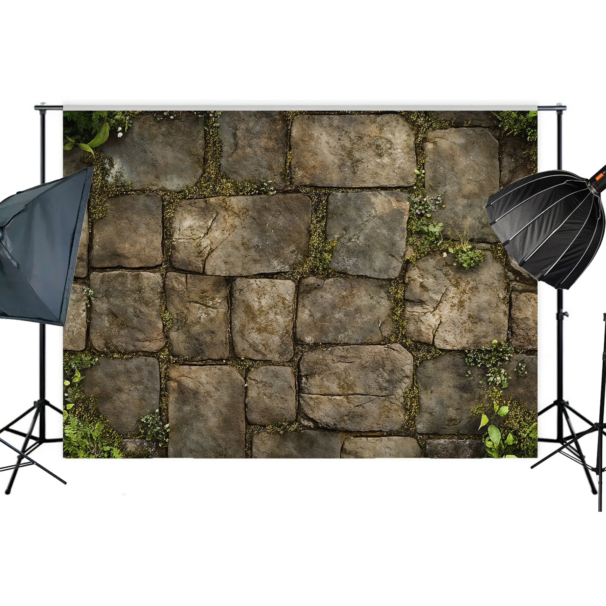Mossy Stone Pathway Backdrop