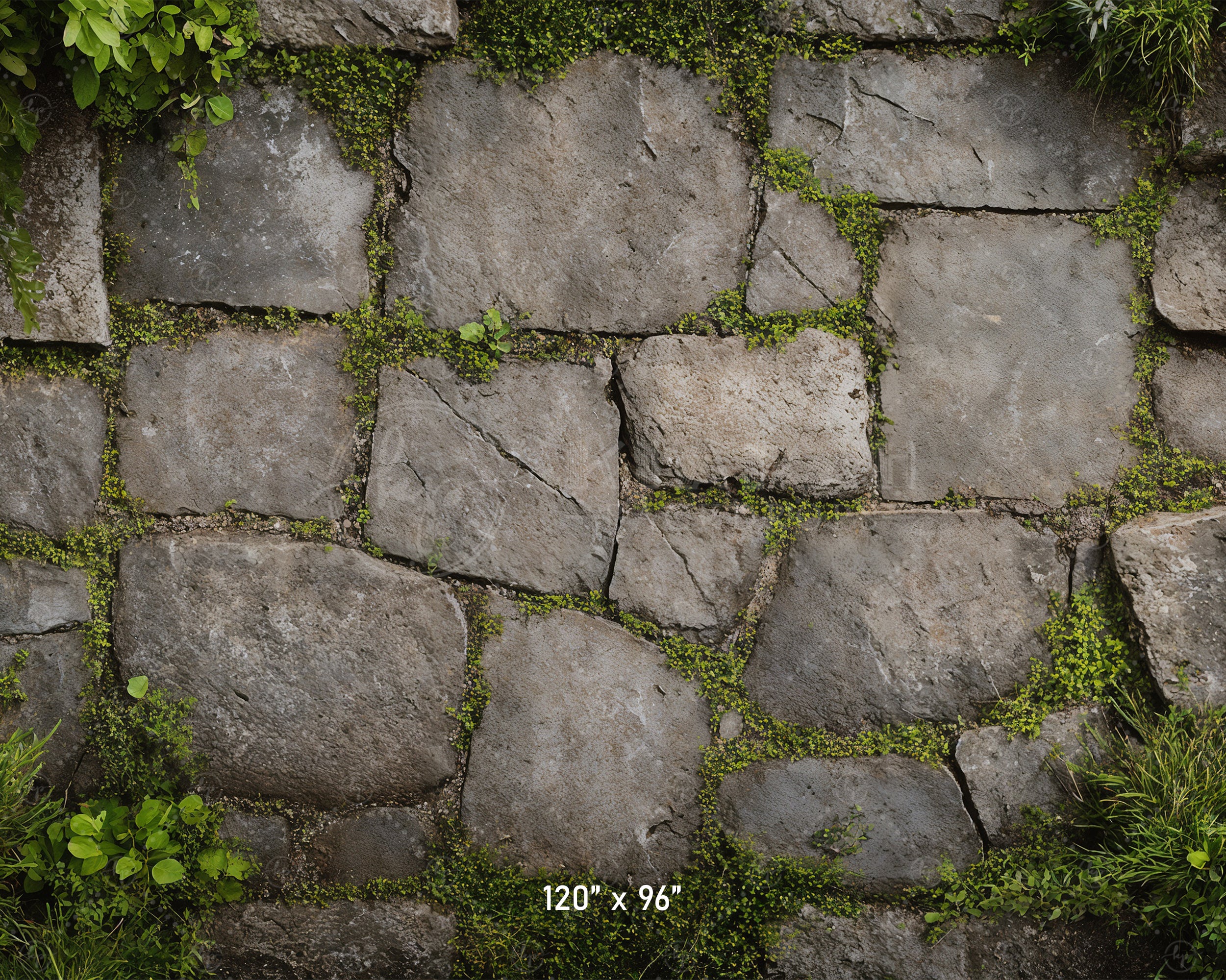 Garden Stone Floor with Greenery Backdrop