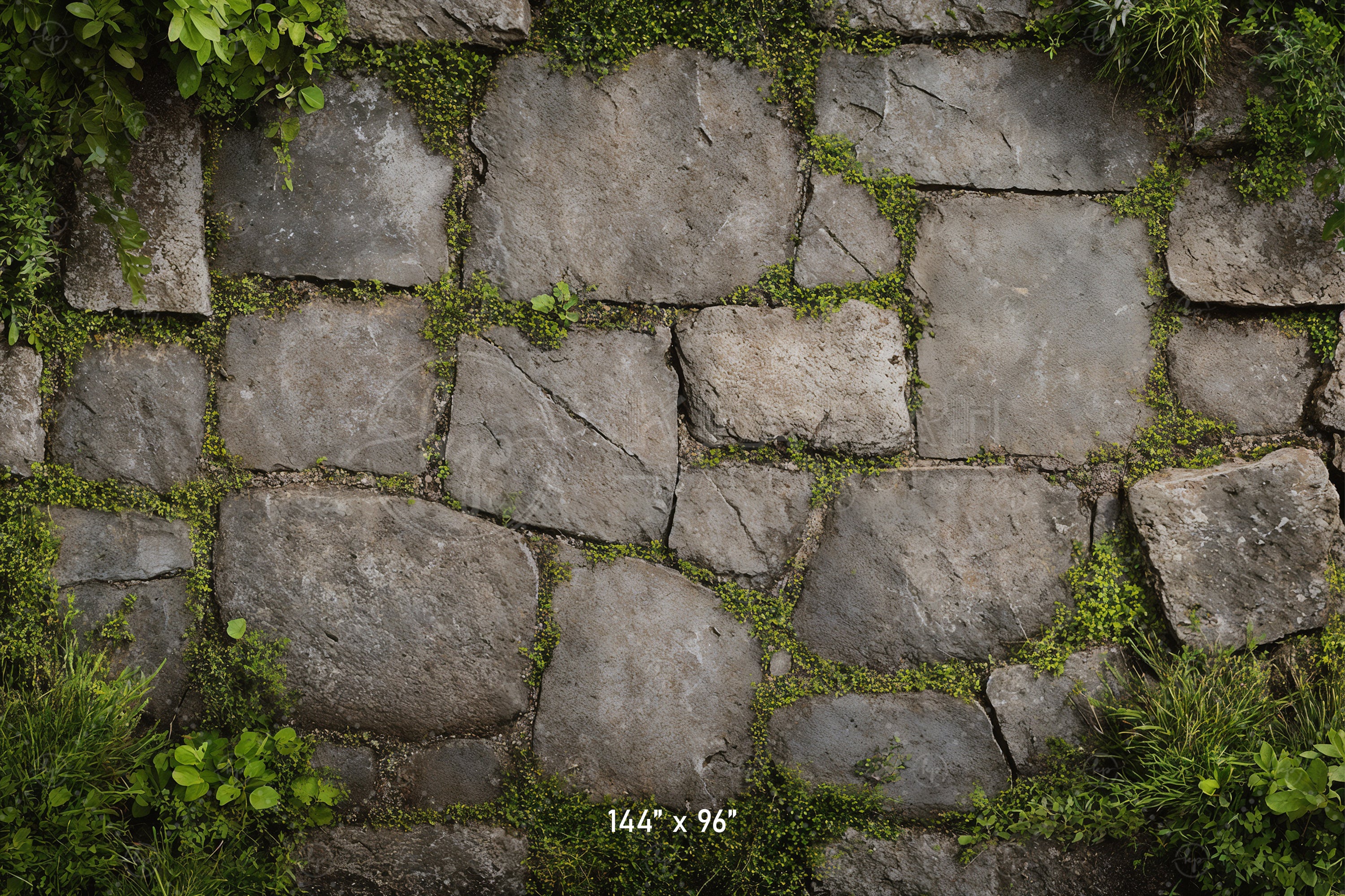 Garden Stone Floor with Greenery Backdrop