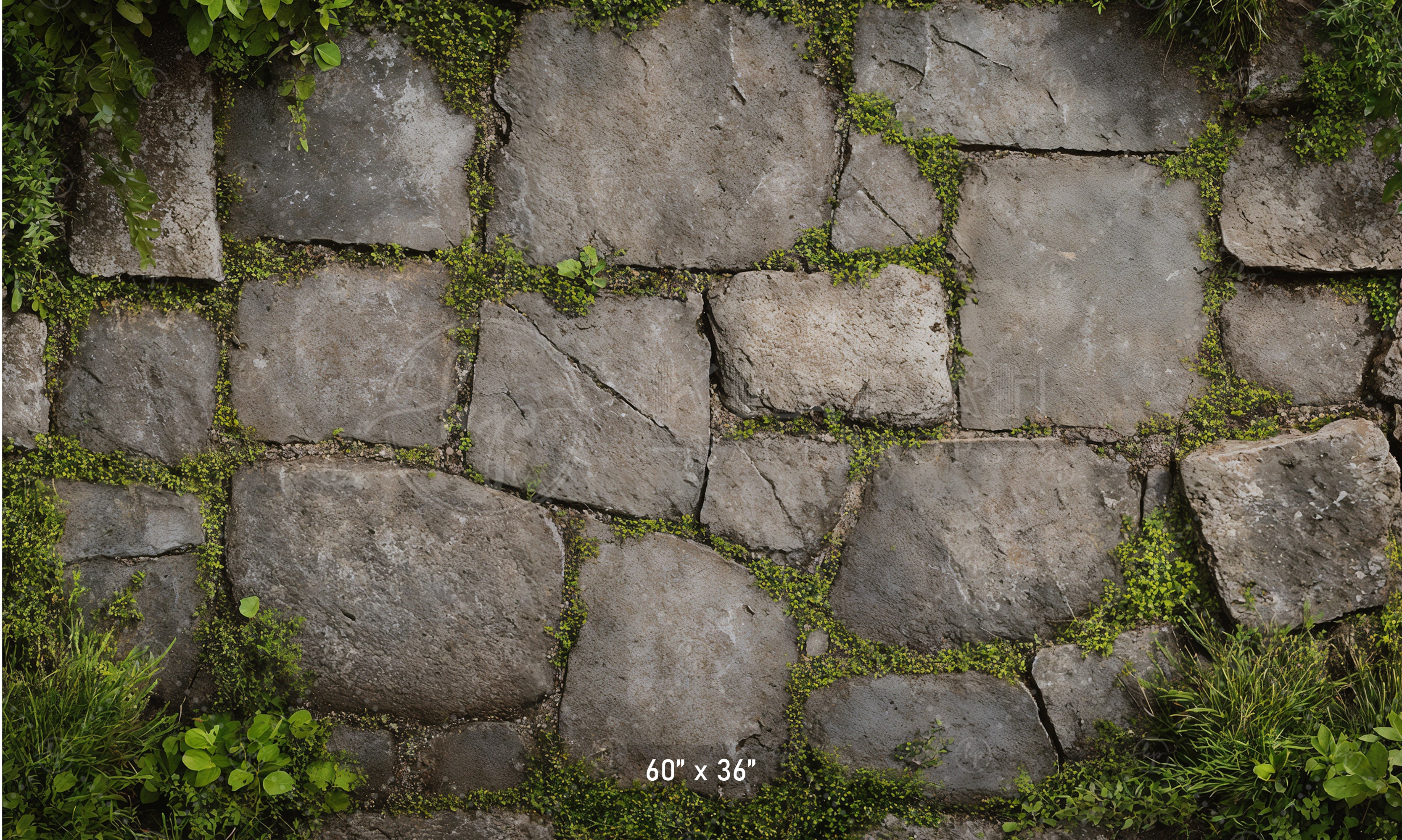 Garden Stone Floor with Greenery Backdrop