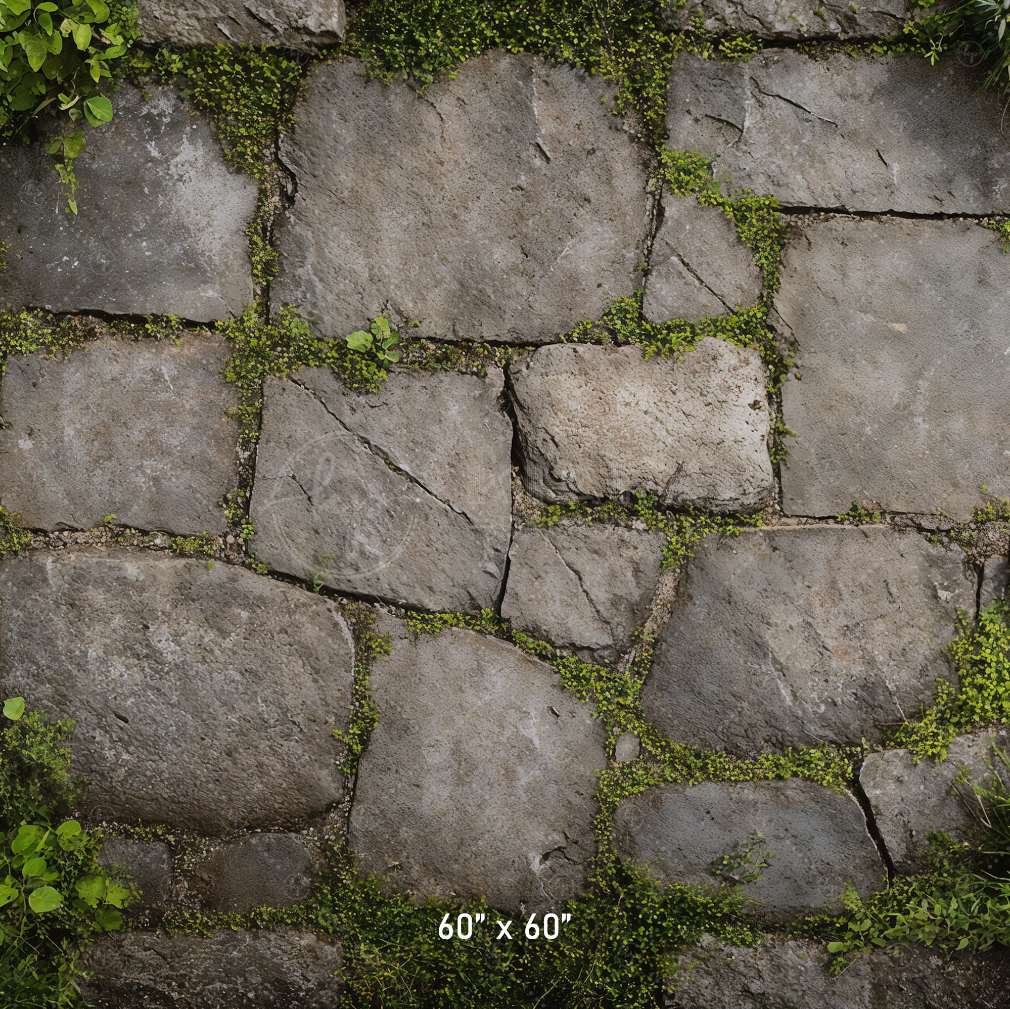 Garden Stone Floor with Greenery Backdrop