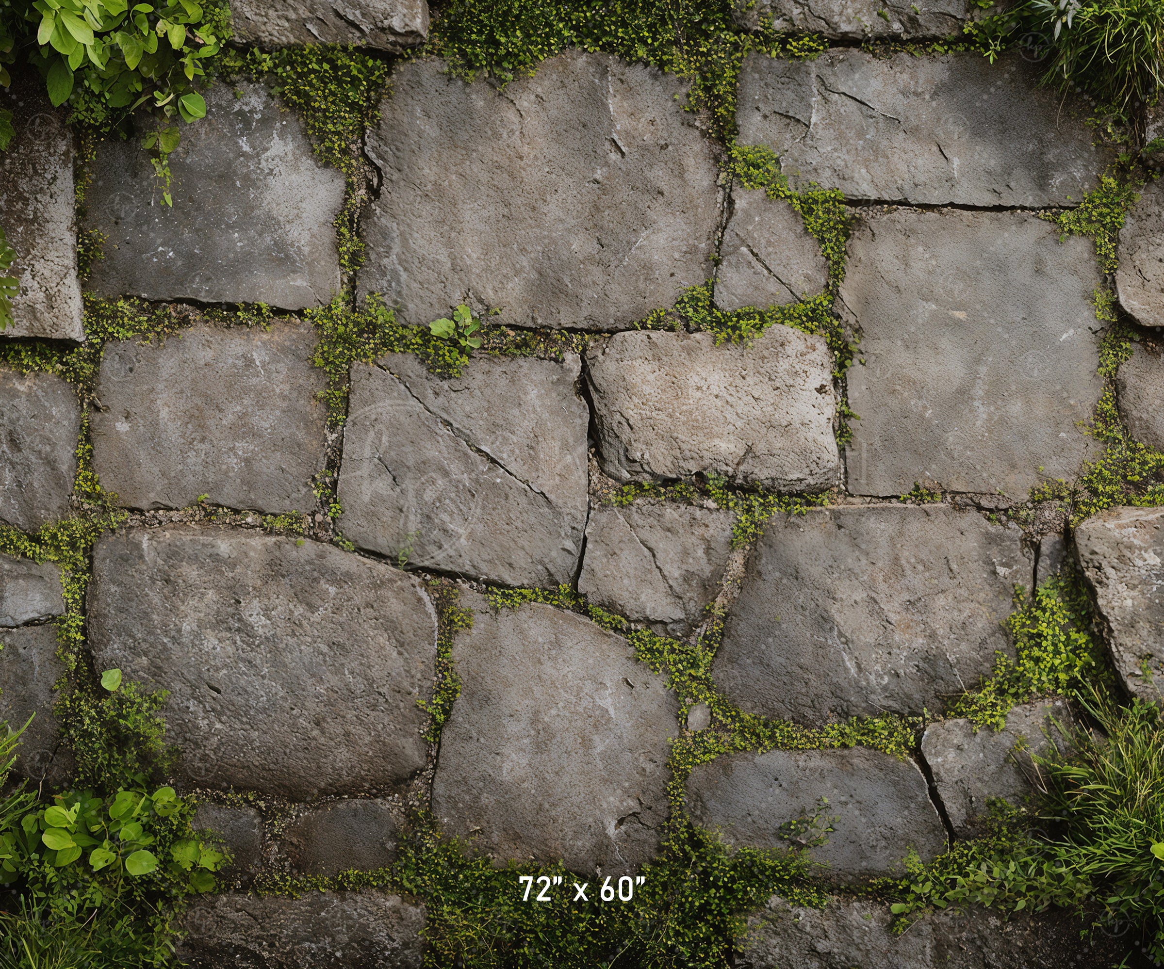Garden Stone Floor with Greenery Backdrop