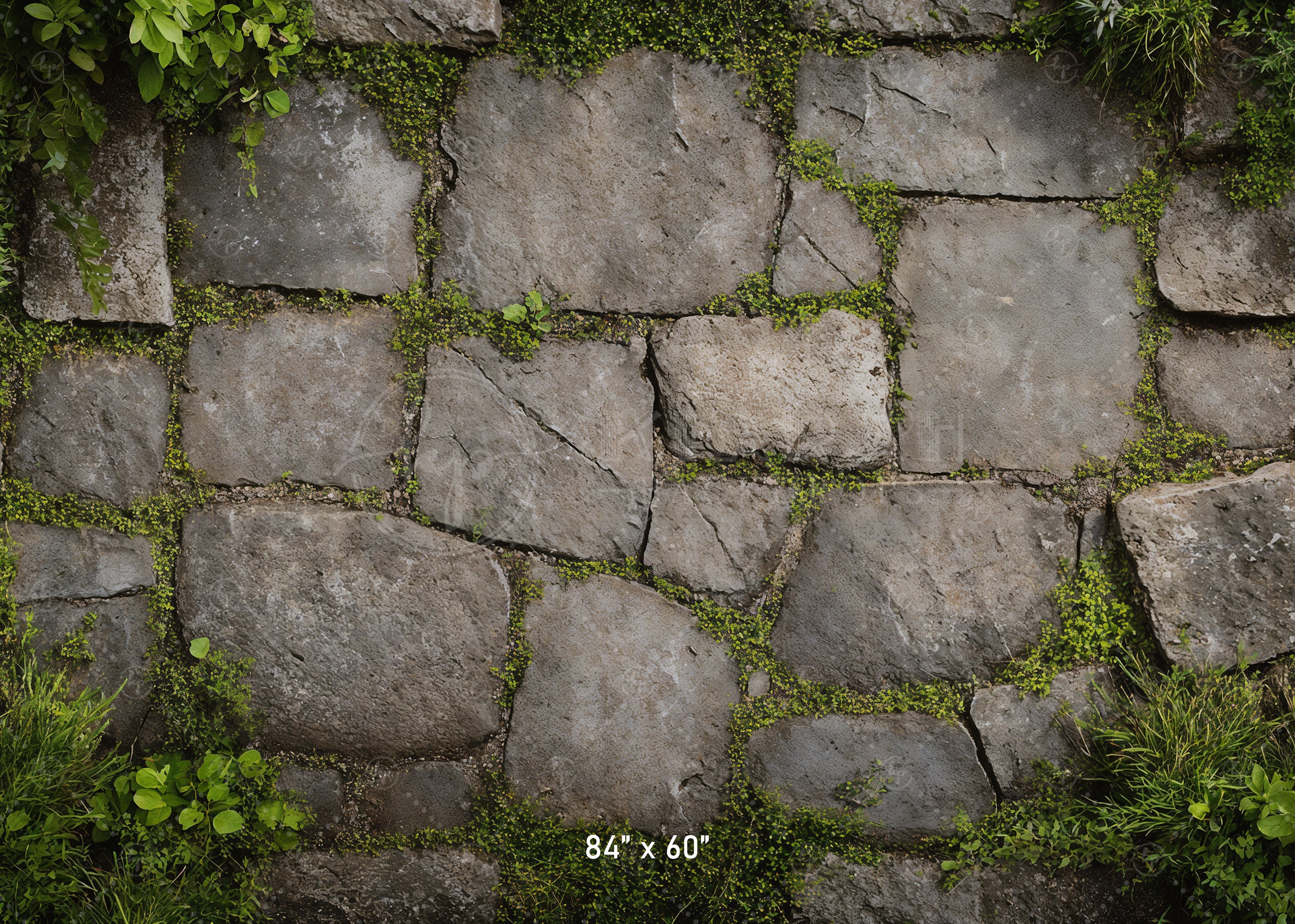 Garden Stone Floor with Greenery Backdrop