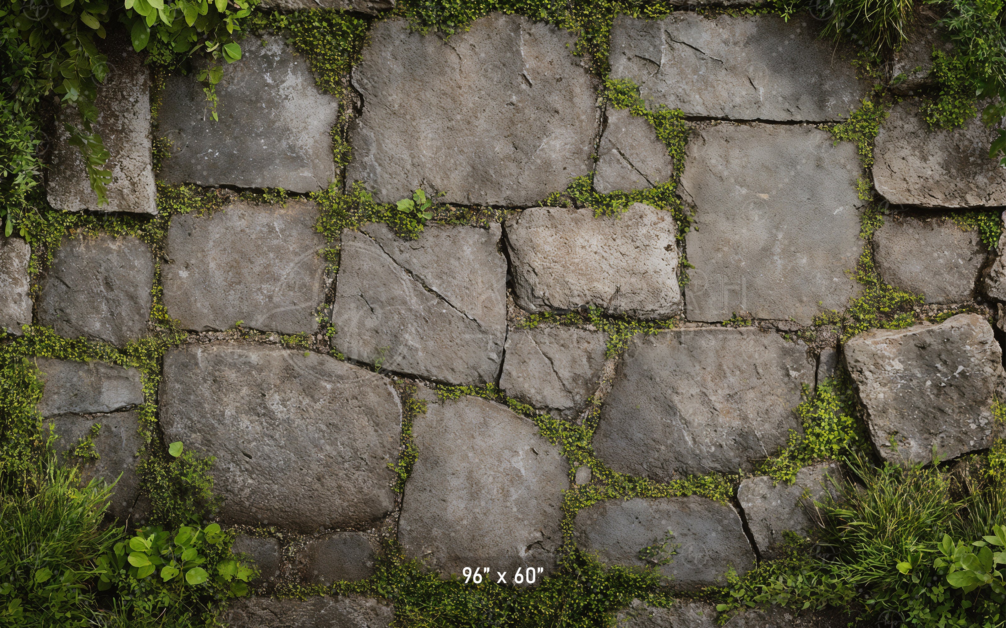 Garden Stone Floor with Greenery Backdrop