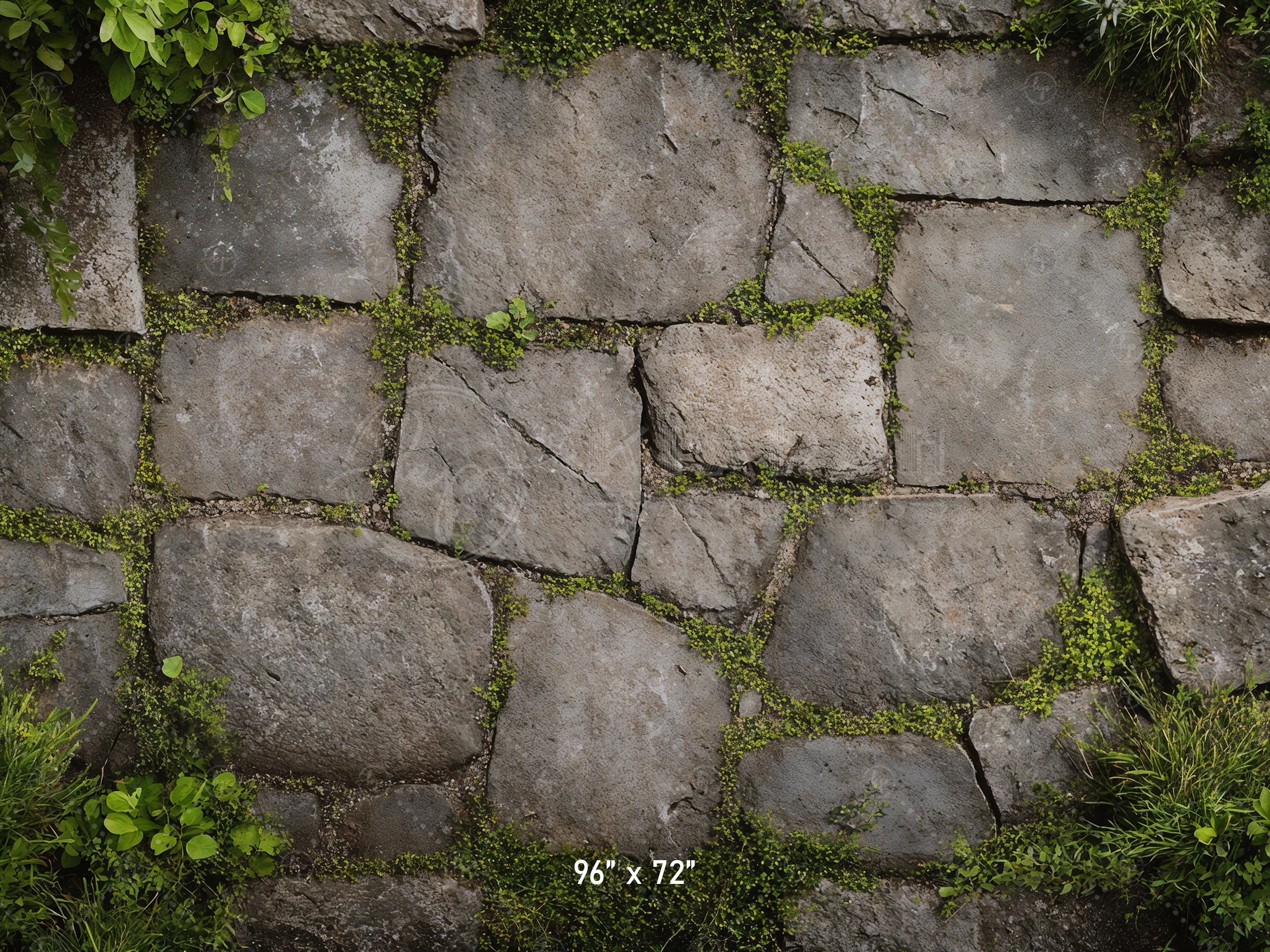 Garden Stone Floor with Greenery Backdrop