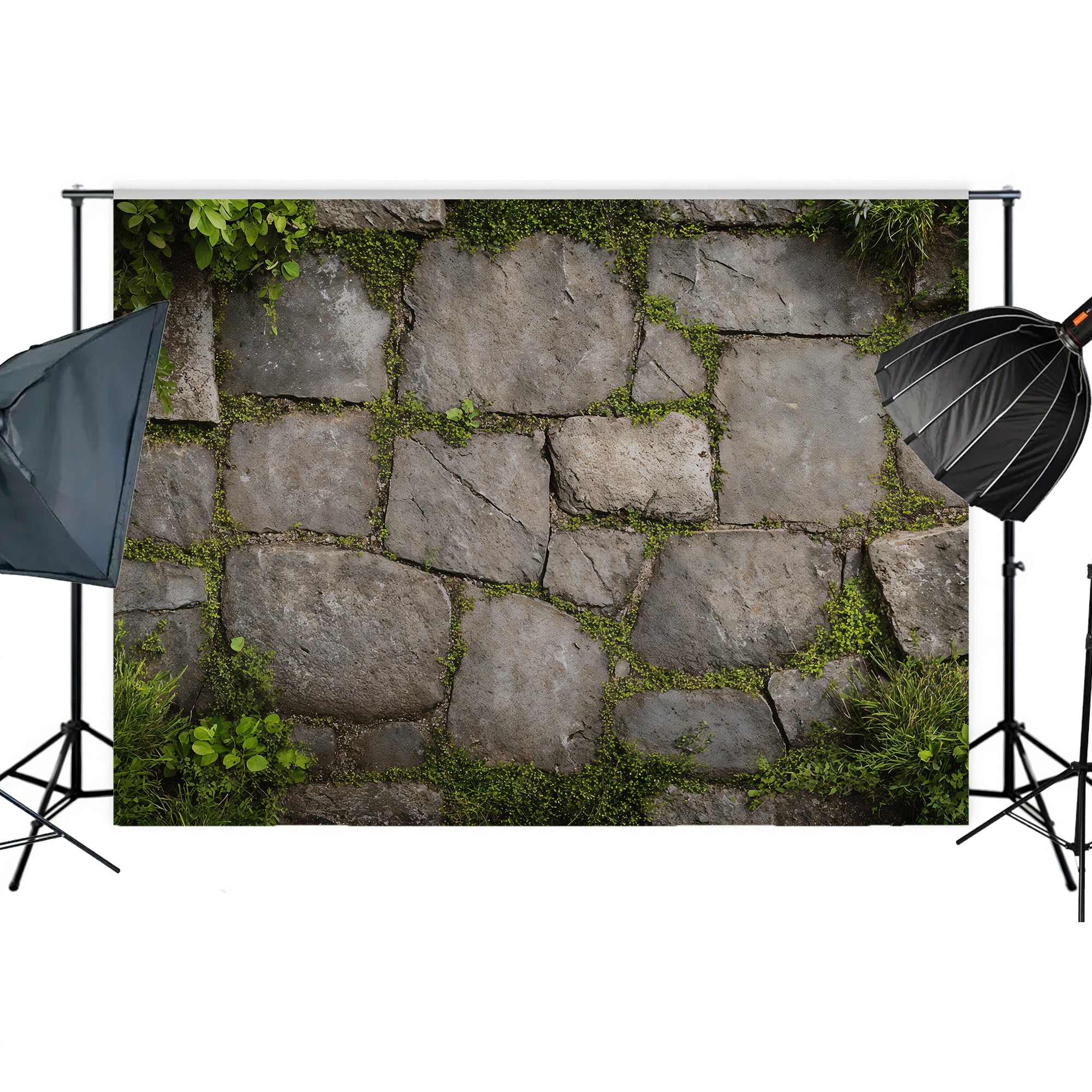Garden Stone Floor with Greenery Backdrop