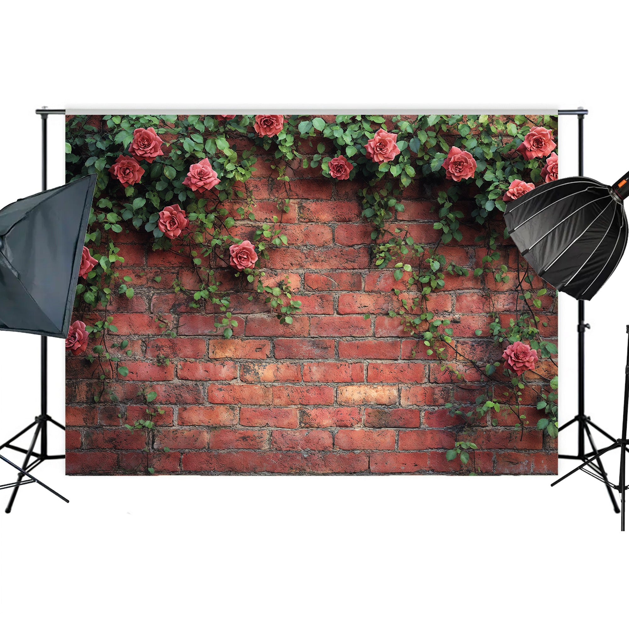 Climbing Rose Brick Wall Backdrop