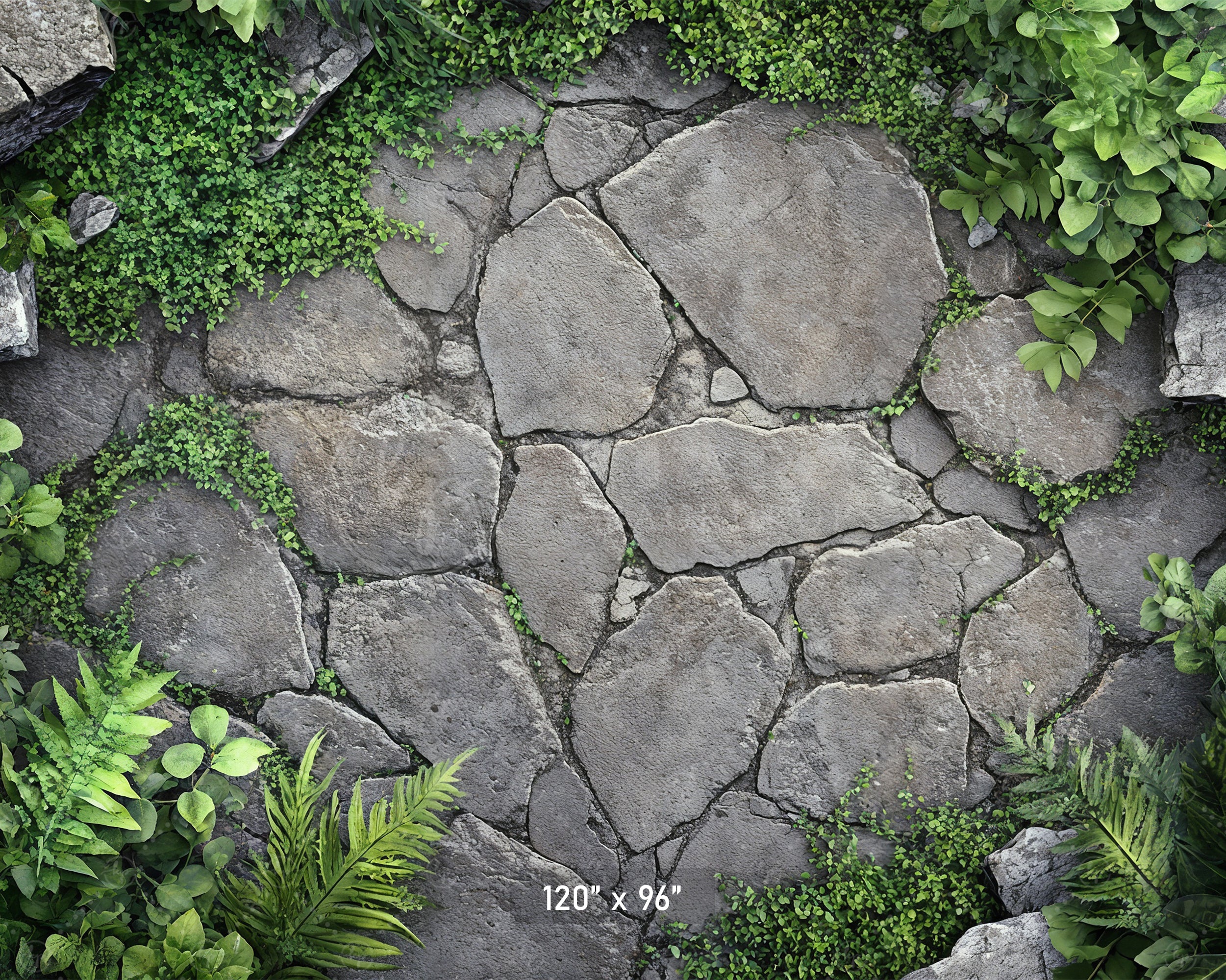 Garden Stone Pathway Backdrop