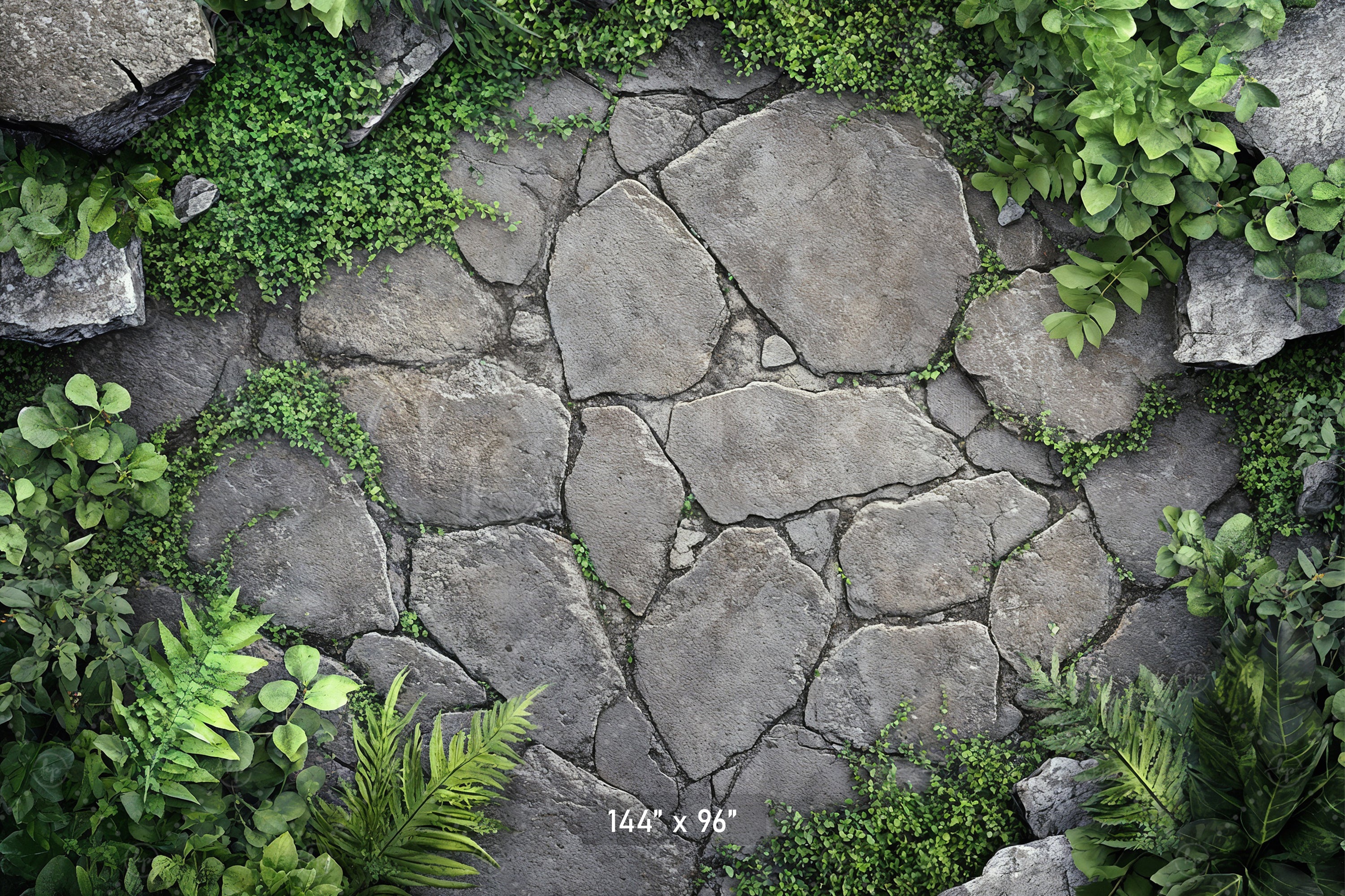 Garden Stone Pathway Backdrop