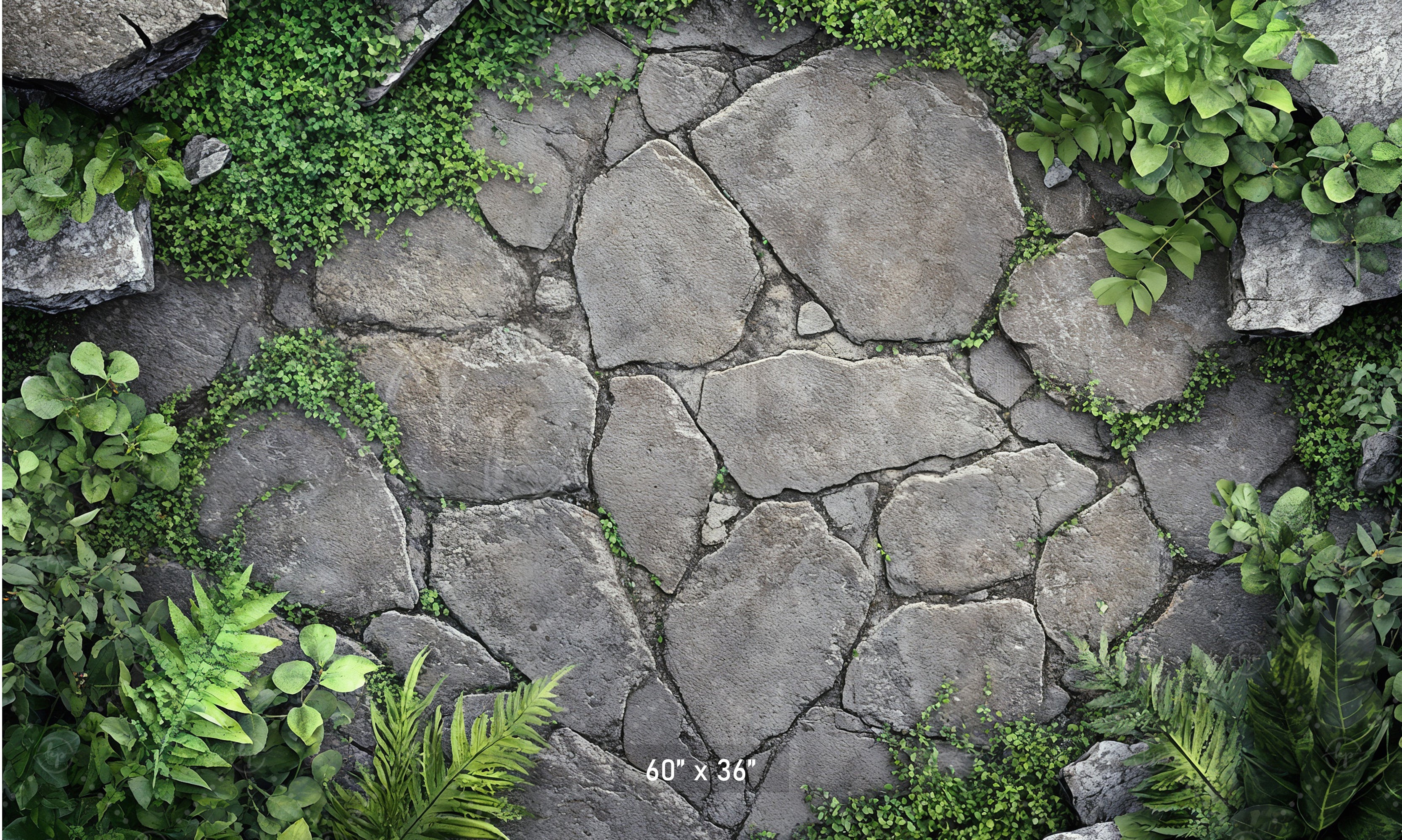 Garden Stone Pathway Backdrop