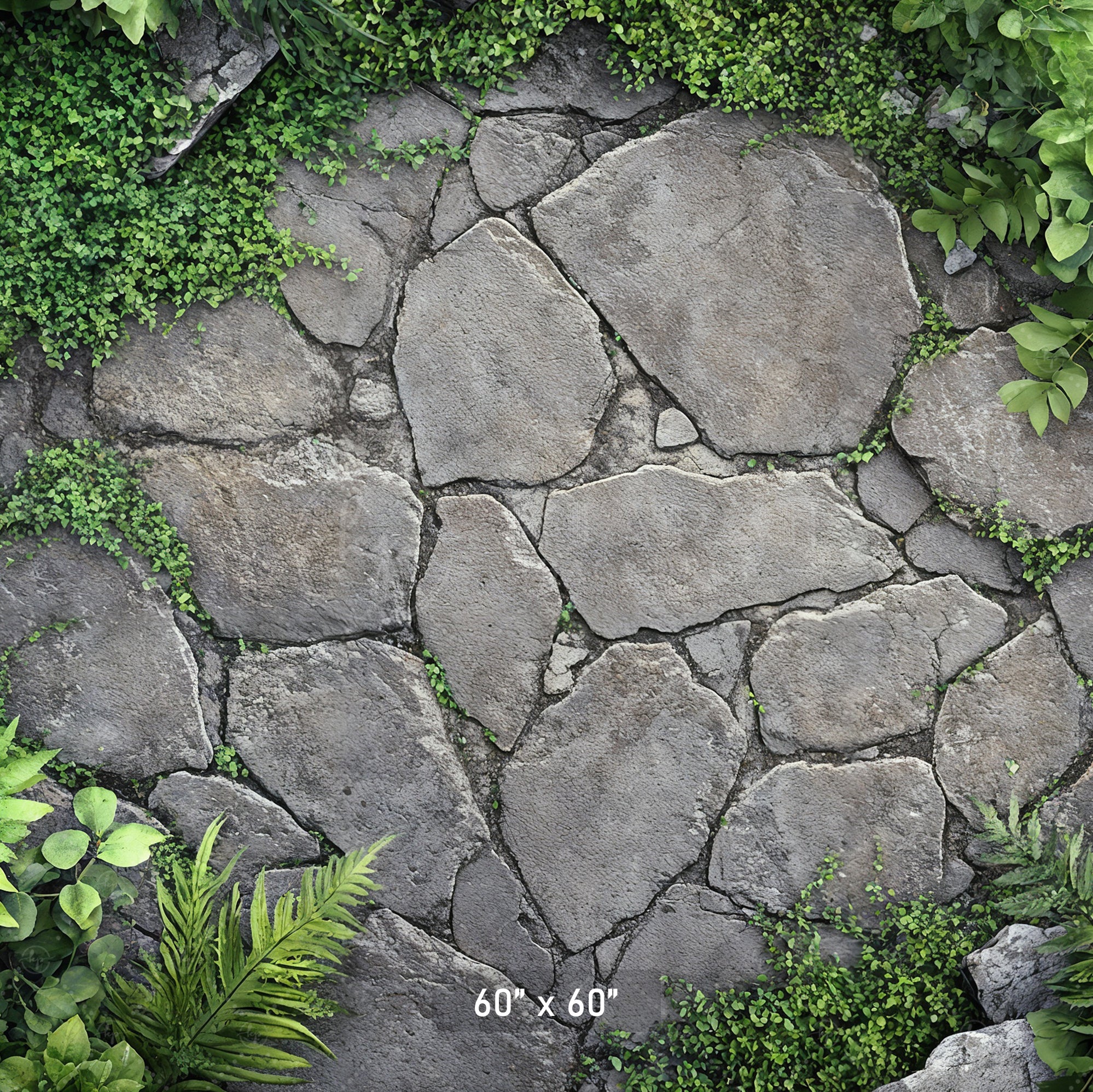 Garden Stone Pathway Backdrop