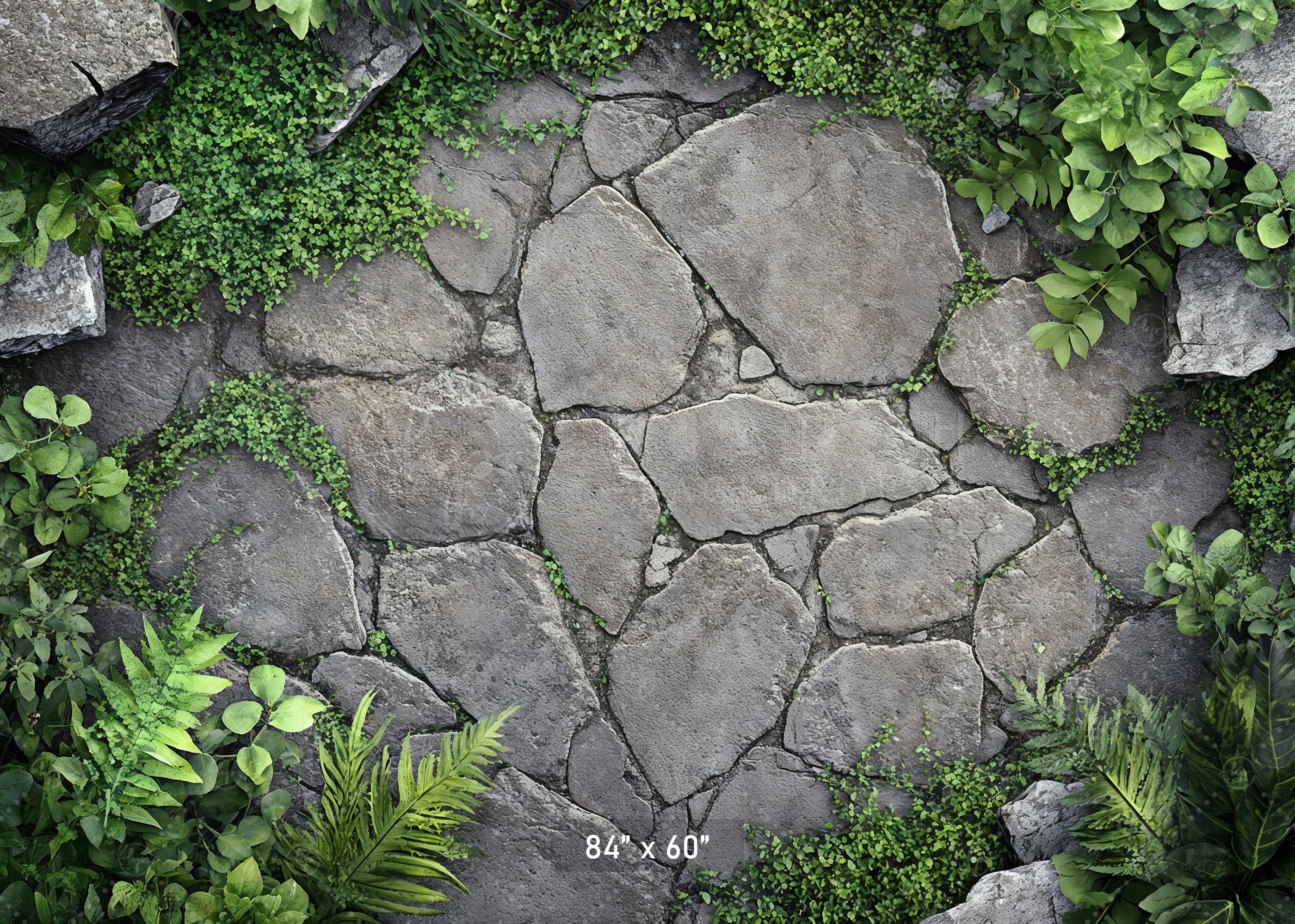 Garden Stone Pathway Backdrop