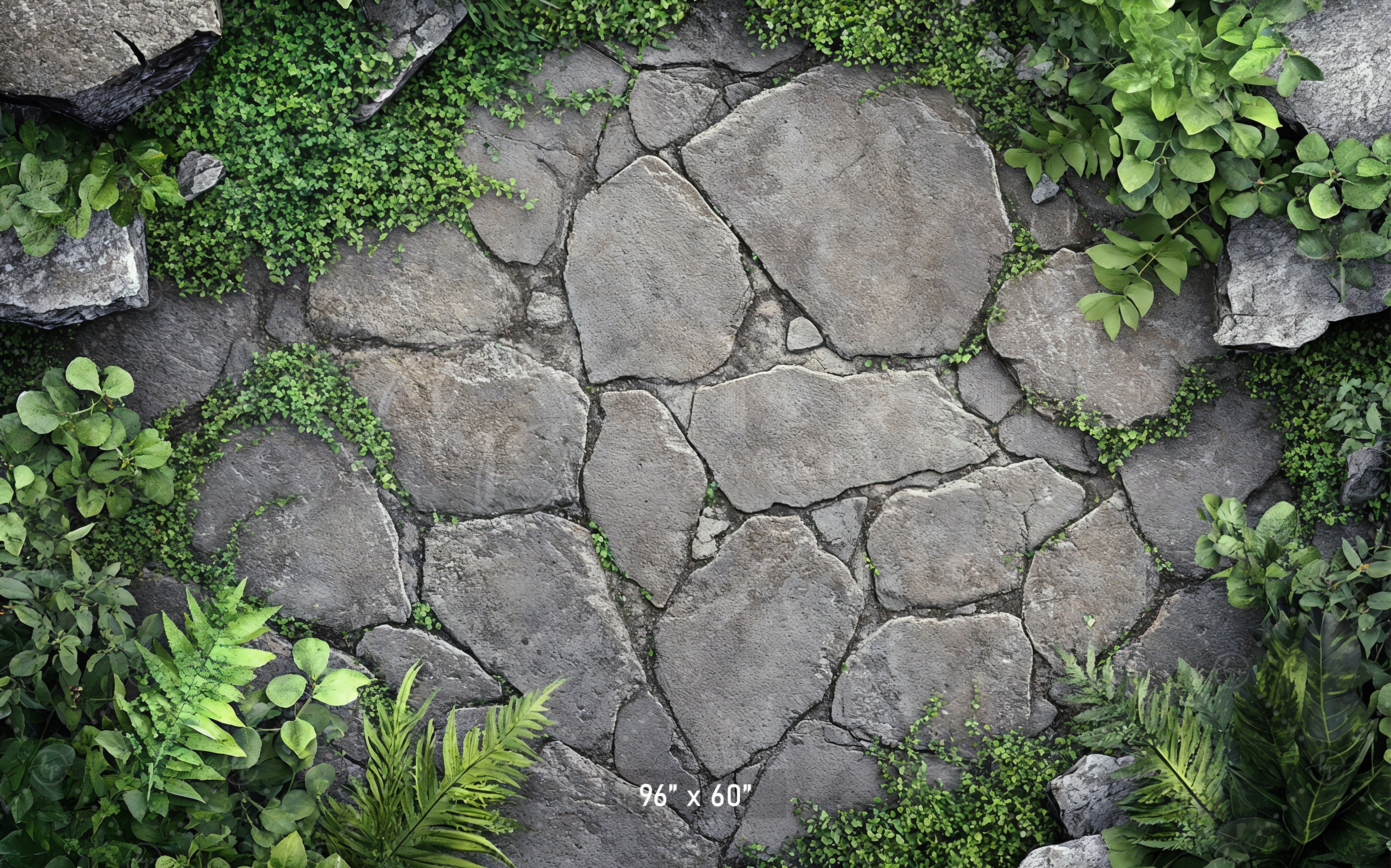 Garden Stone Pathway Backdrop