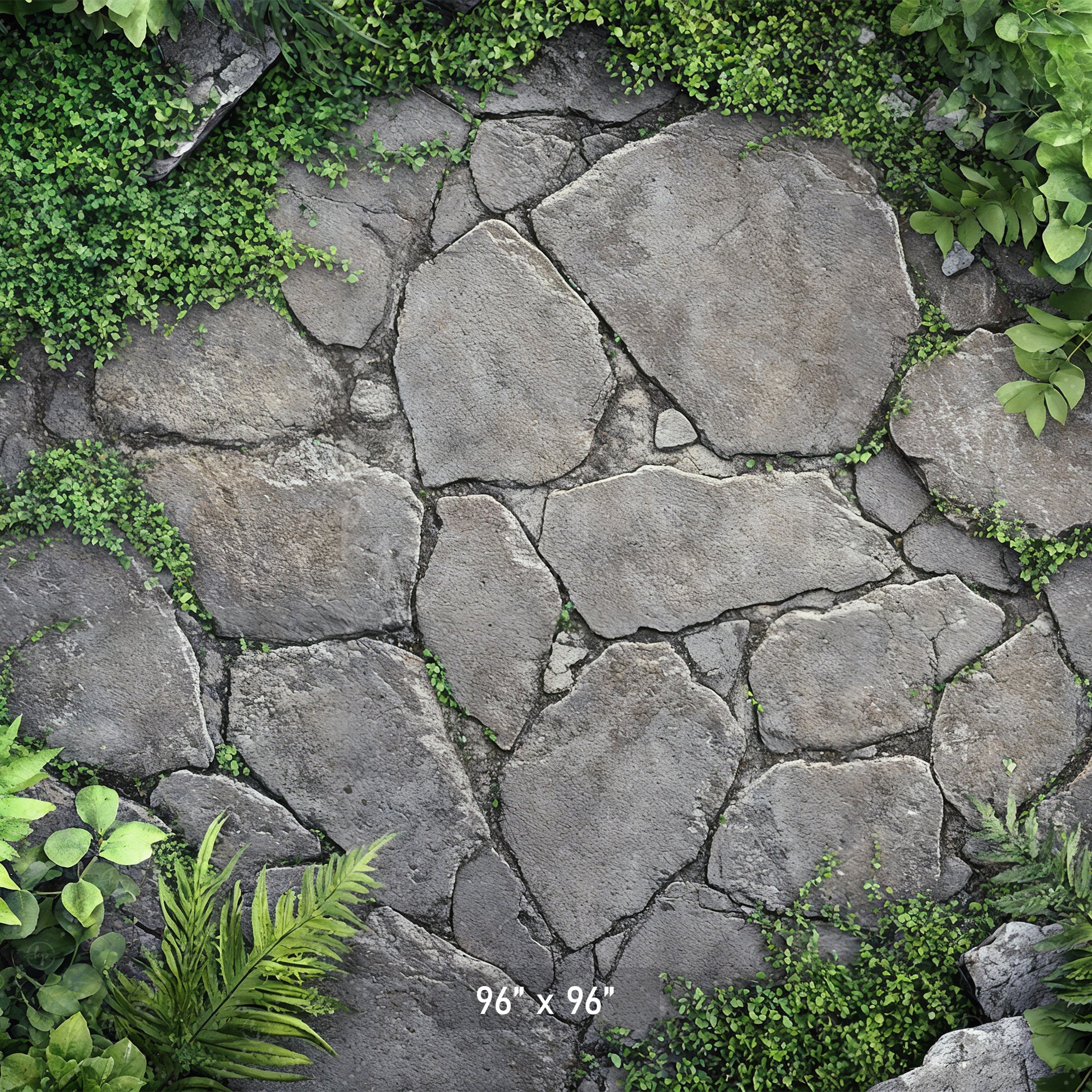 Garden Stone Pathway Backdrop