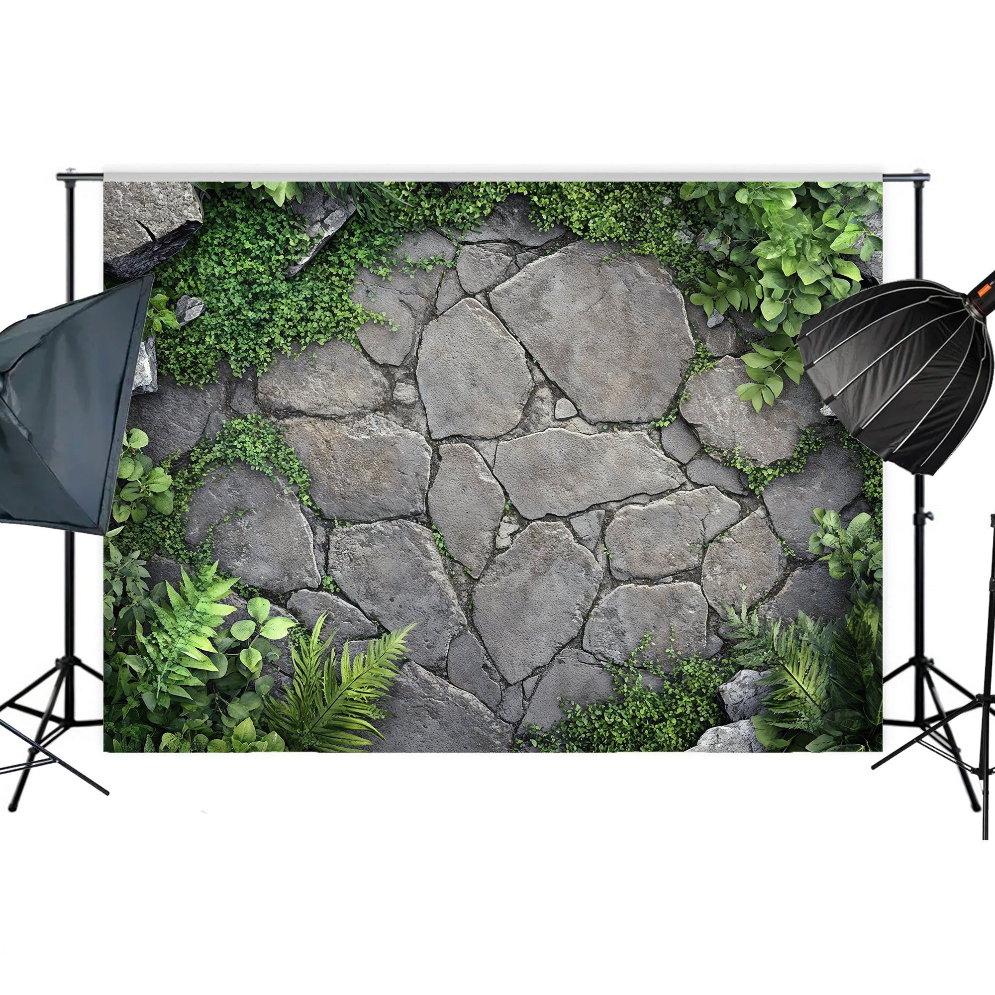 Garden Stone Pathway Backdrop
