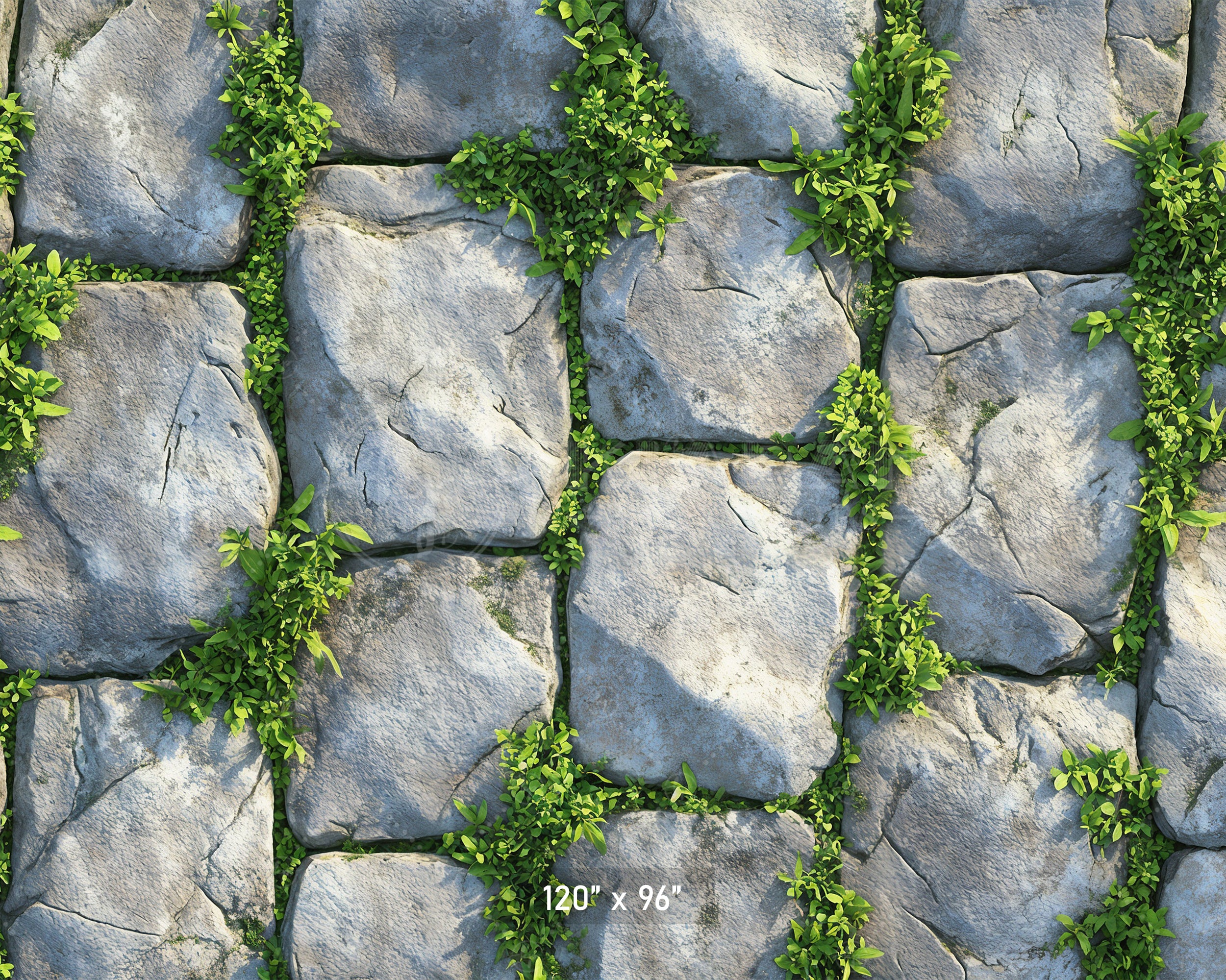 Mossy Stone Pavers Backdrop