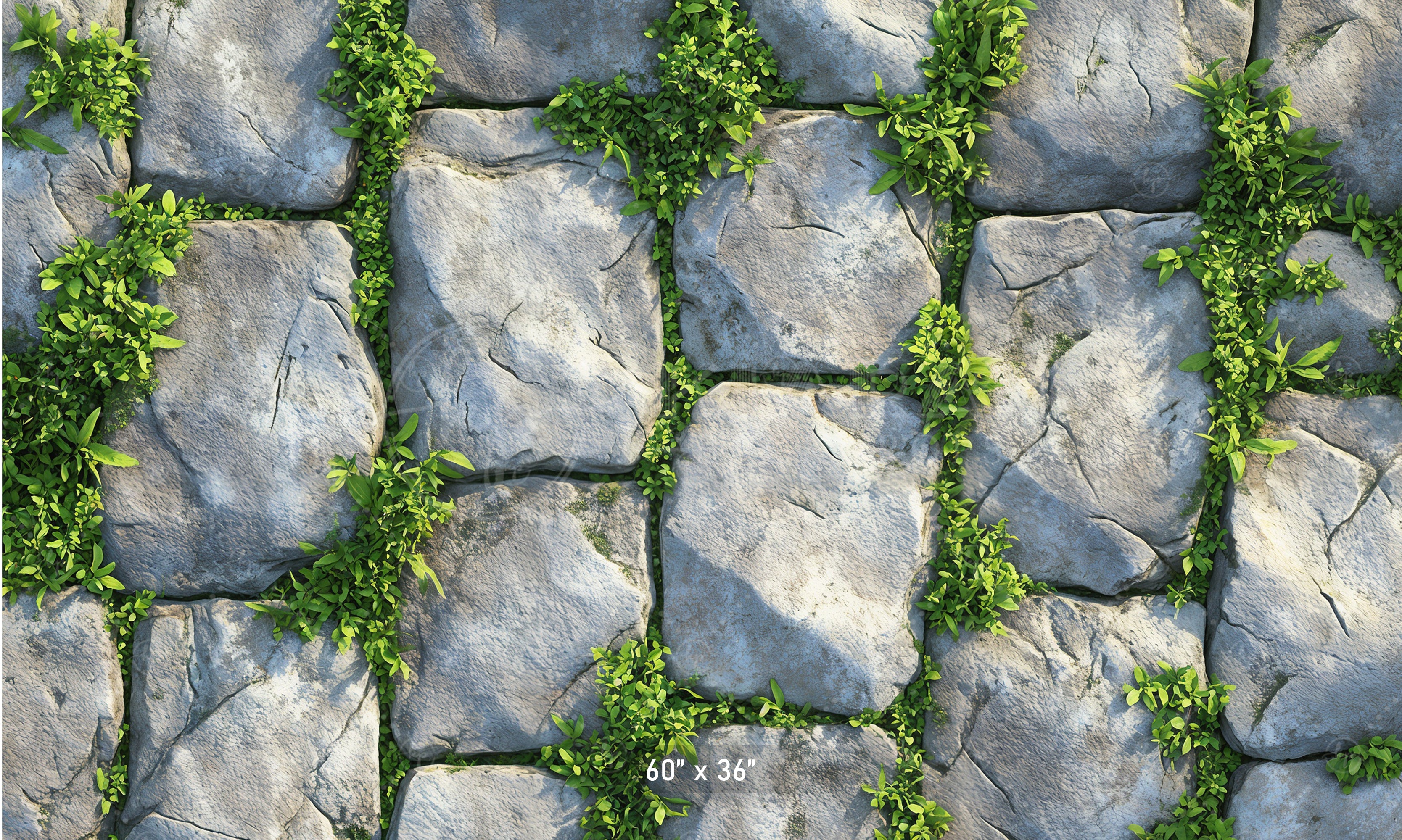 Mossy Stone Pavers Backdrop