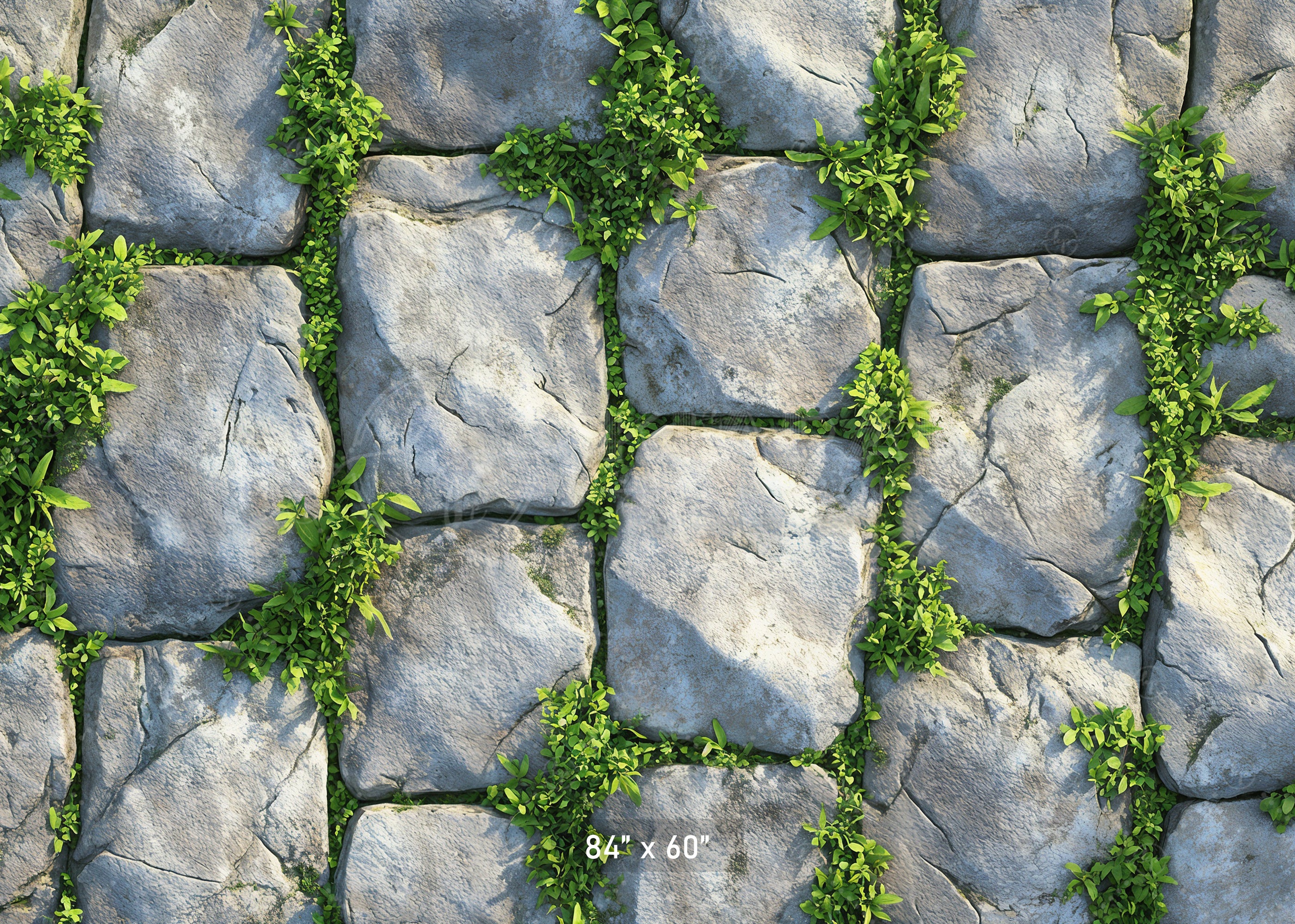 Mossy Stone Pavers Backdrop