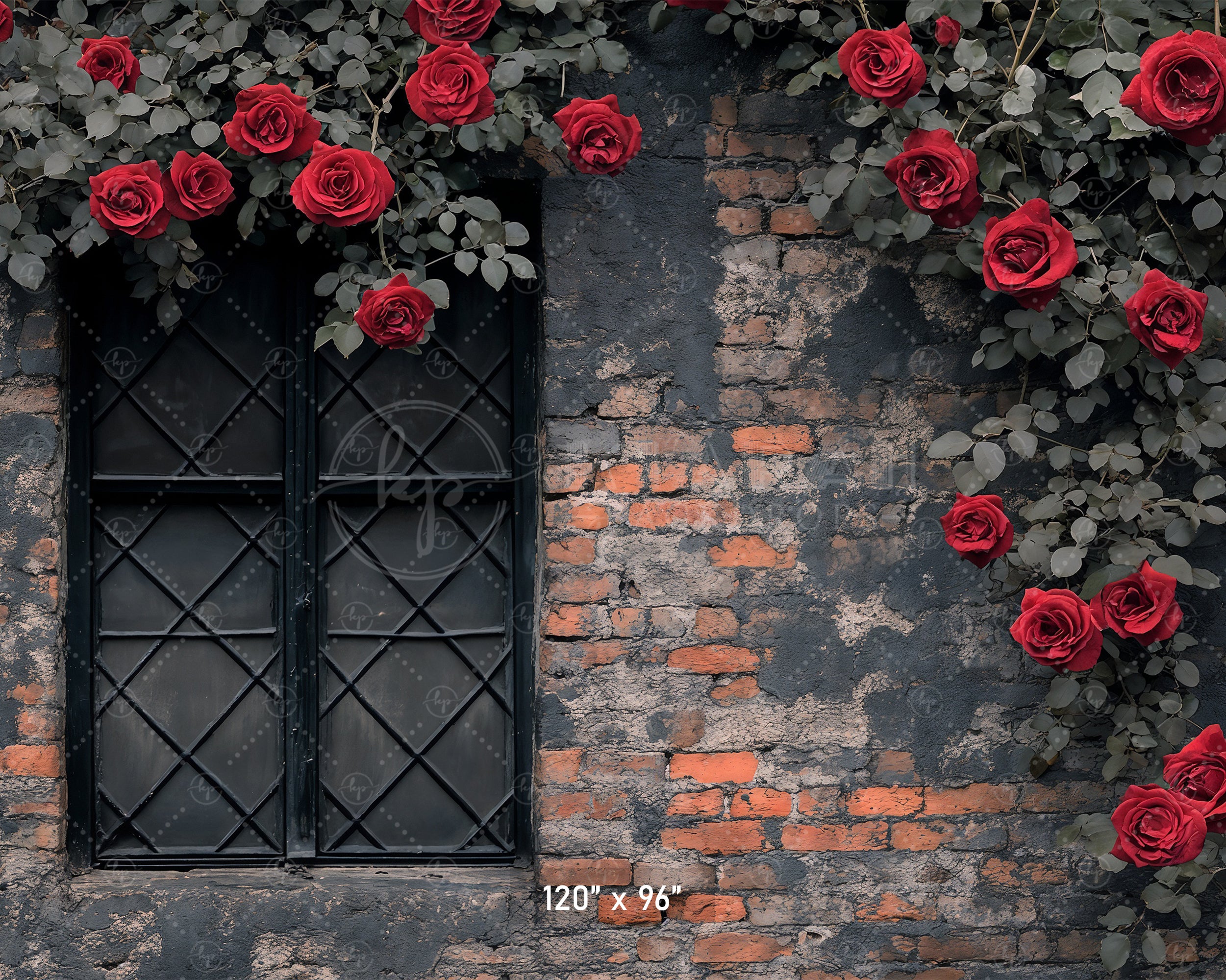 Gothic Rose Window Backdrop