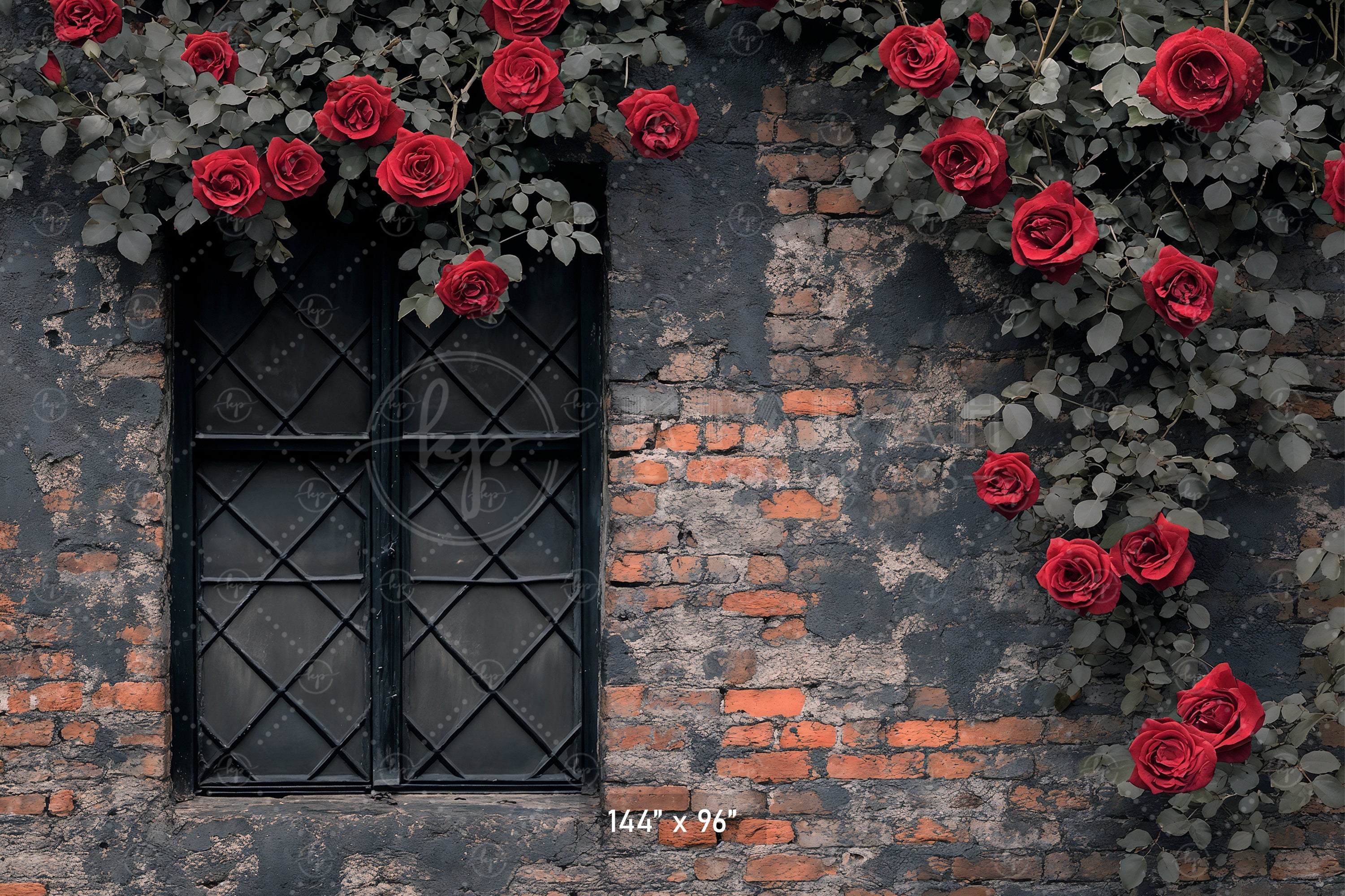 Gothic Rose Window Backdrop