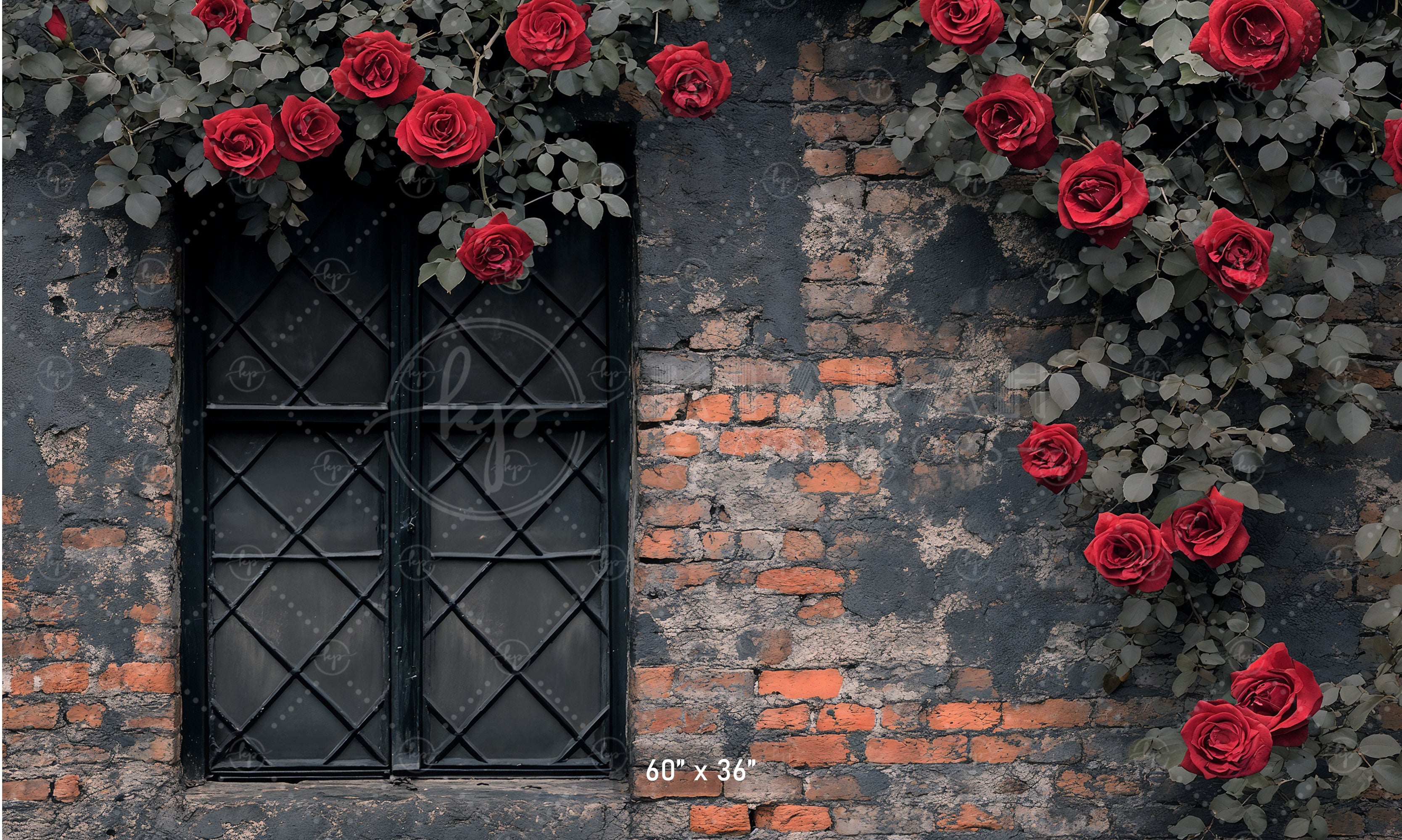 Gothic Rose Window Backdrop