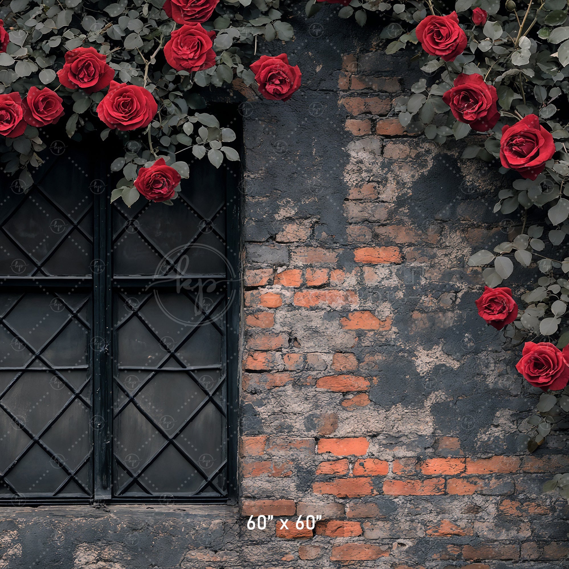 Gothic Rose Window Backdrop