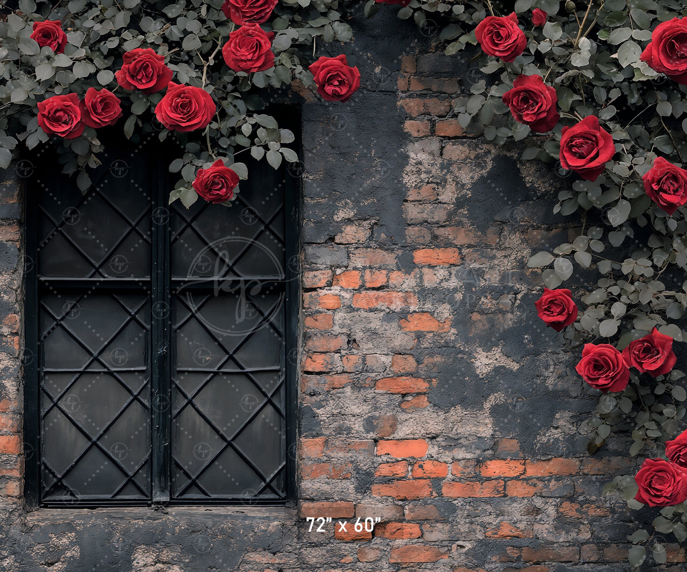 Gothic Rose Window Backdrop