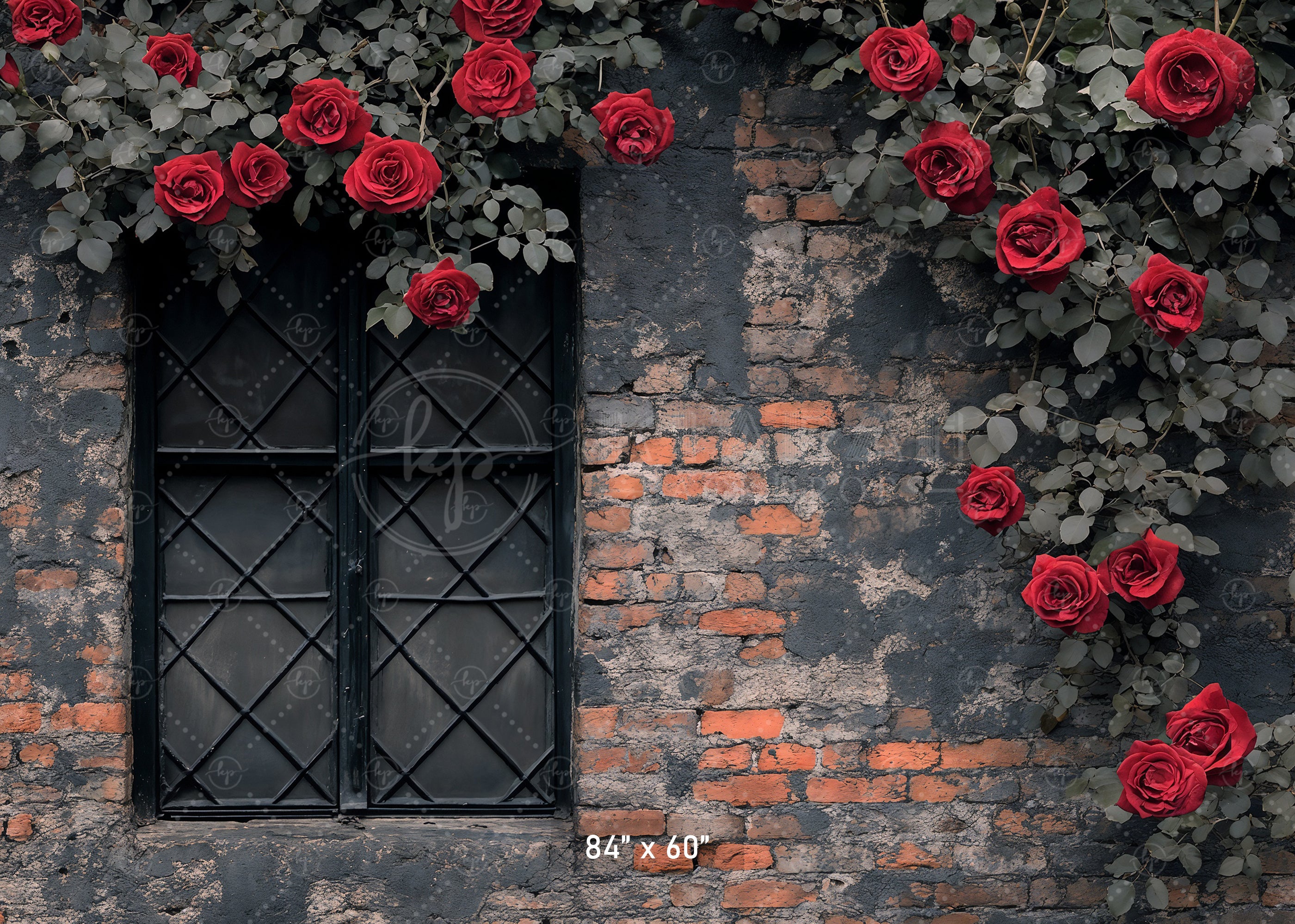 Gothic Rose Window Backdrop