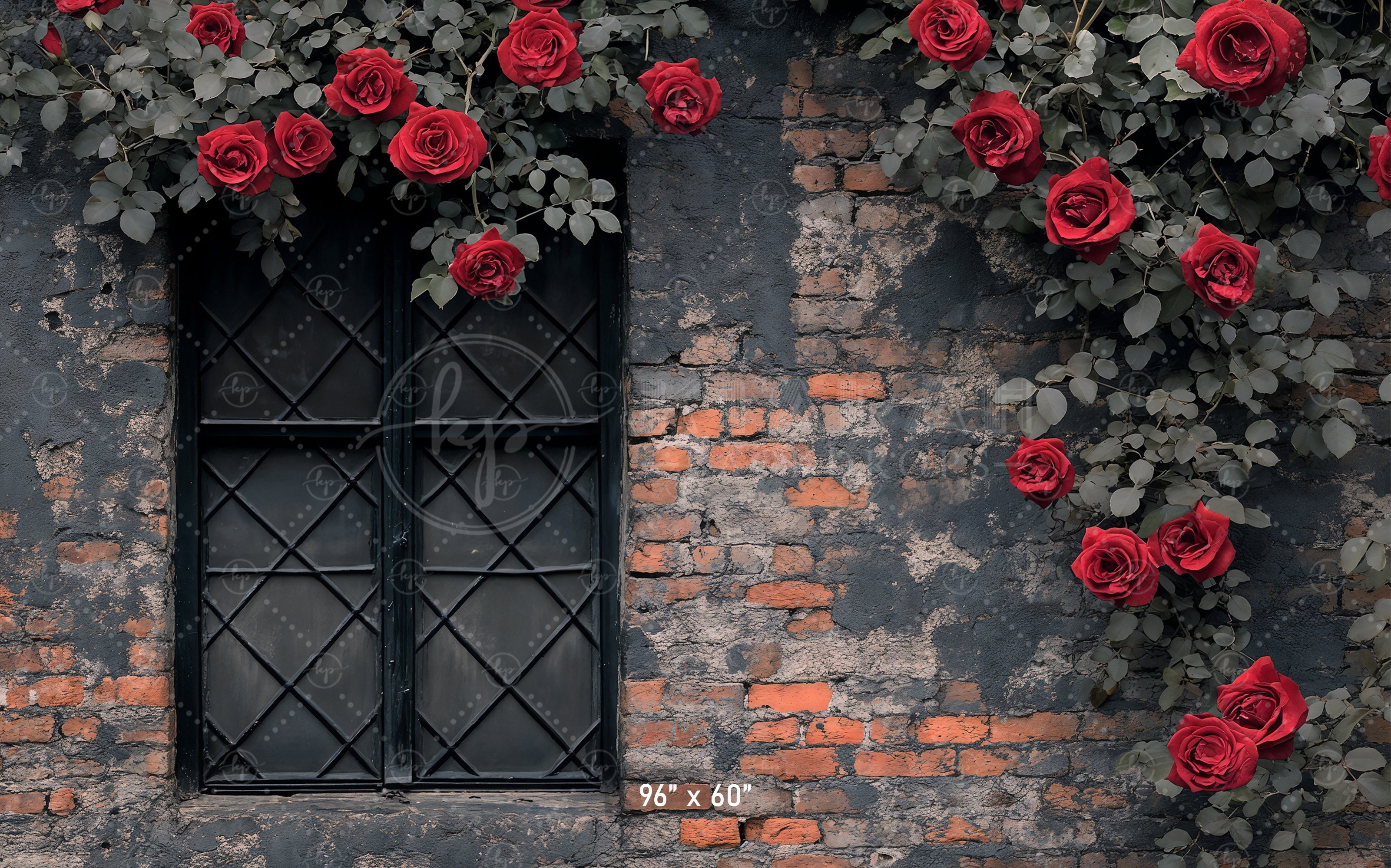 Gothic Rose Window Backdrop