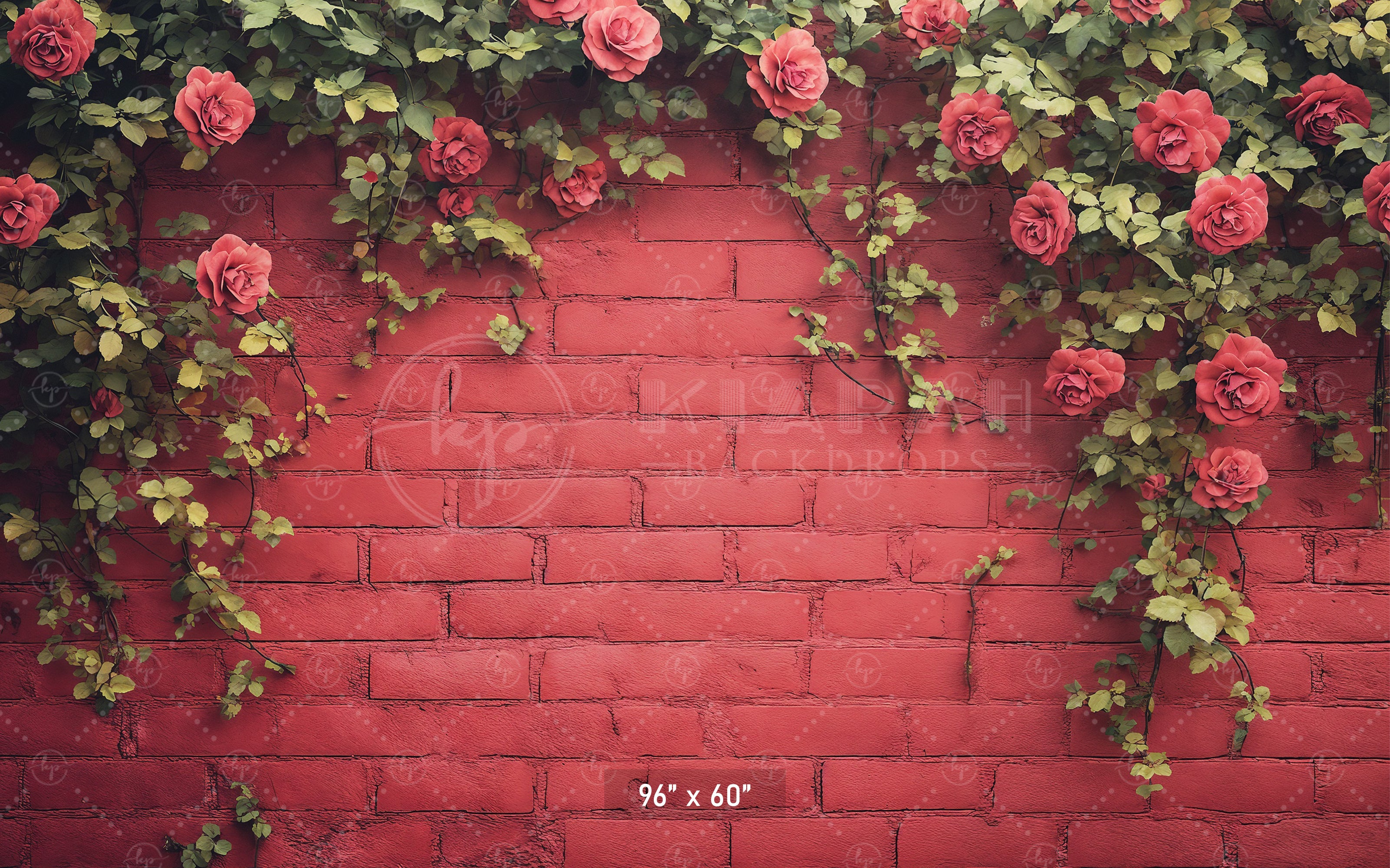 Vibrant Rose Trellis Wal Backdrop