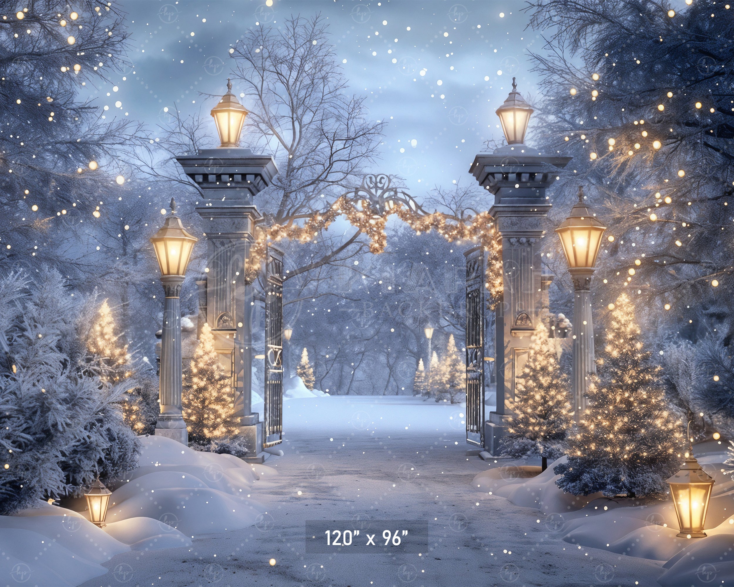 Enchanted Winter Gateway Backdrop