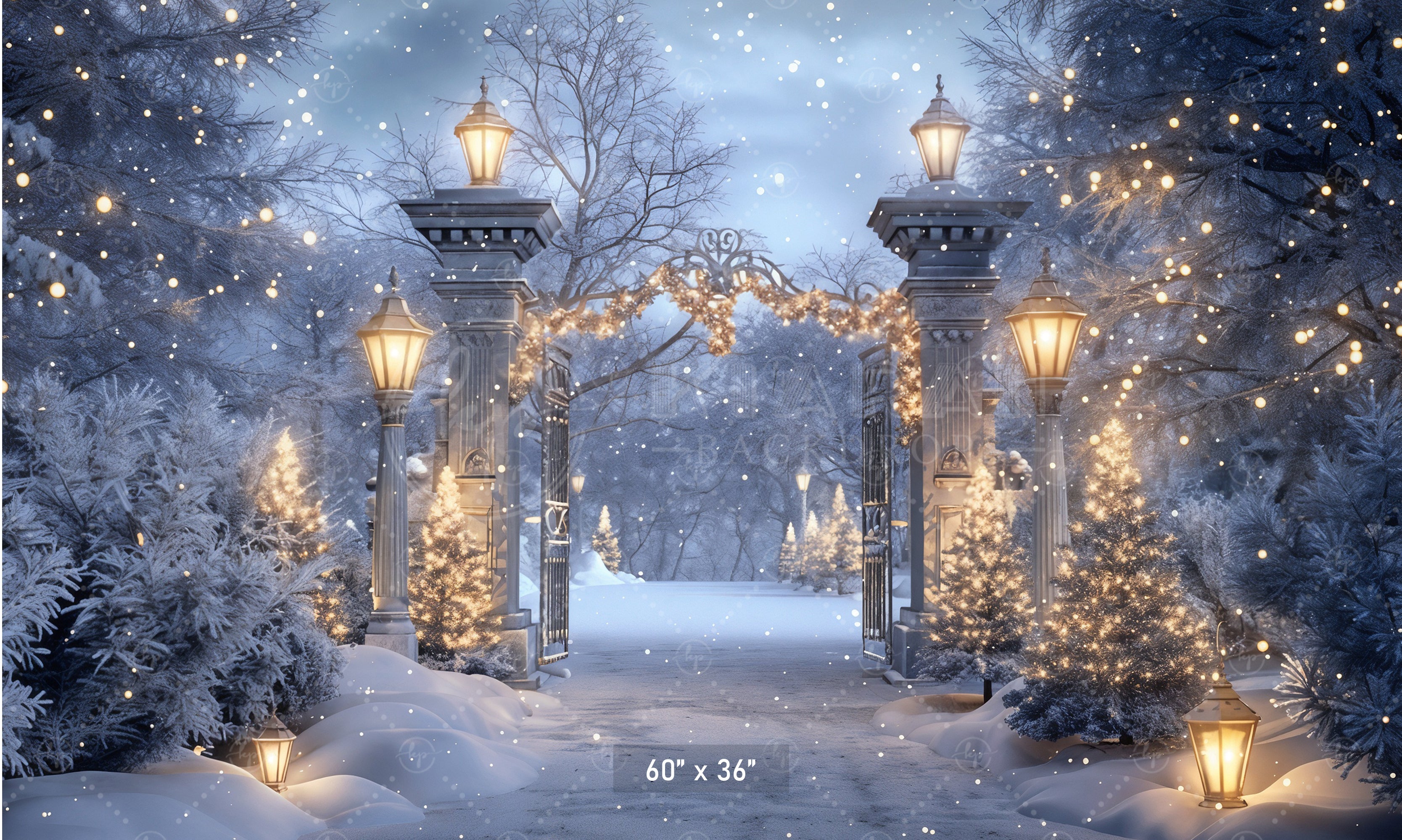 Enchanted Winter Gateway Backdrop